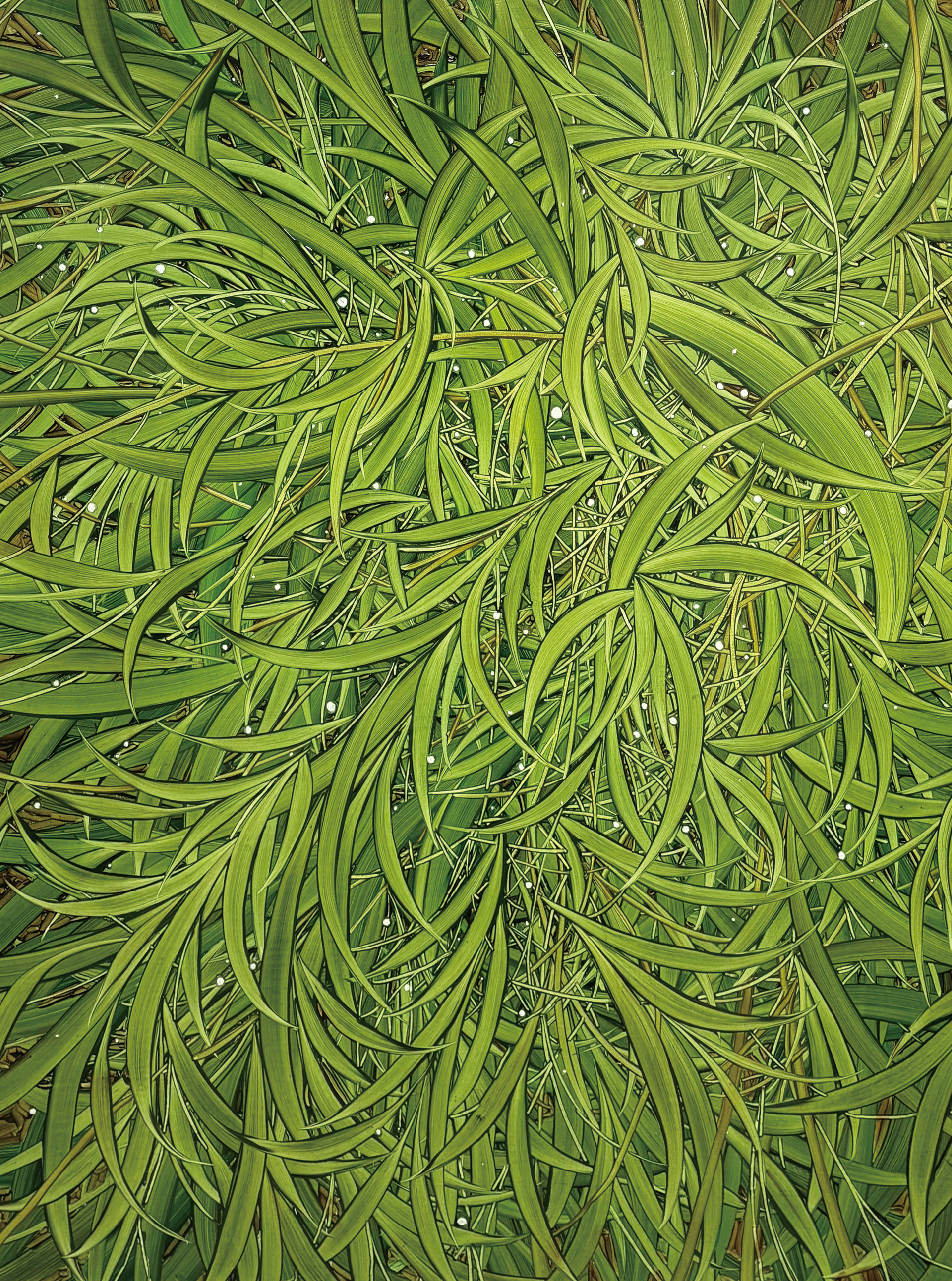 Cool Breeze, Oil and oil pastel on canvas, 145.5x112.1cm, 2026