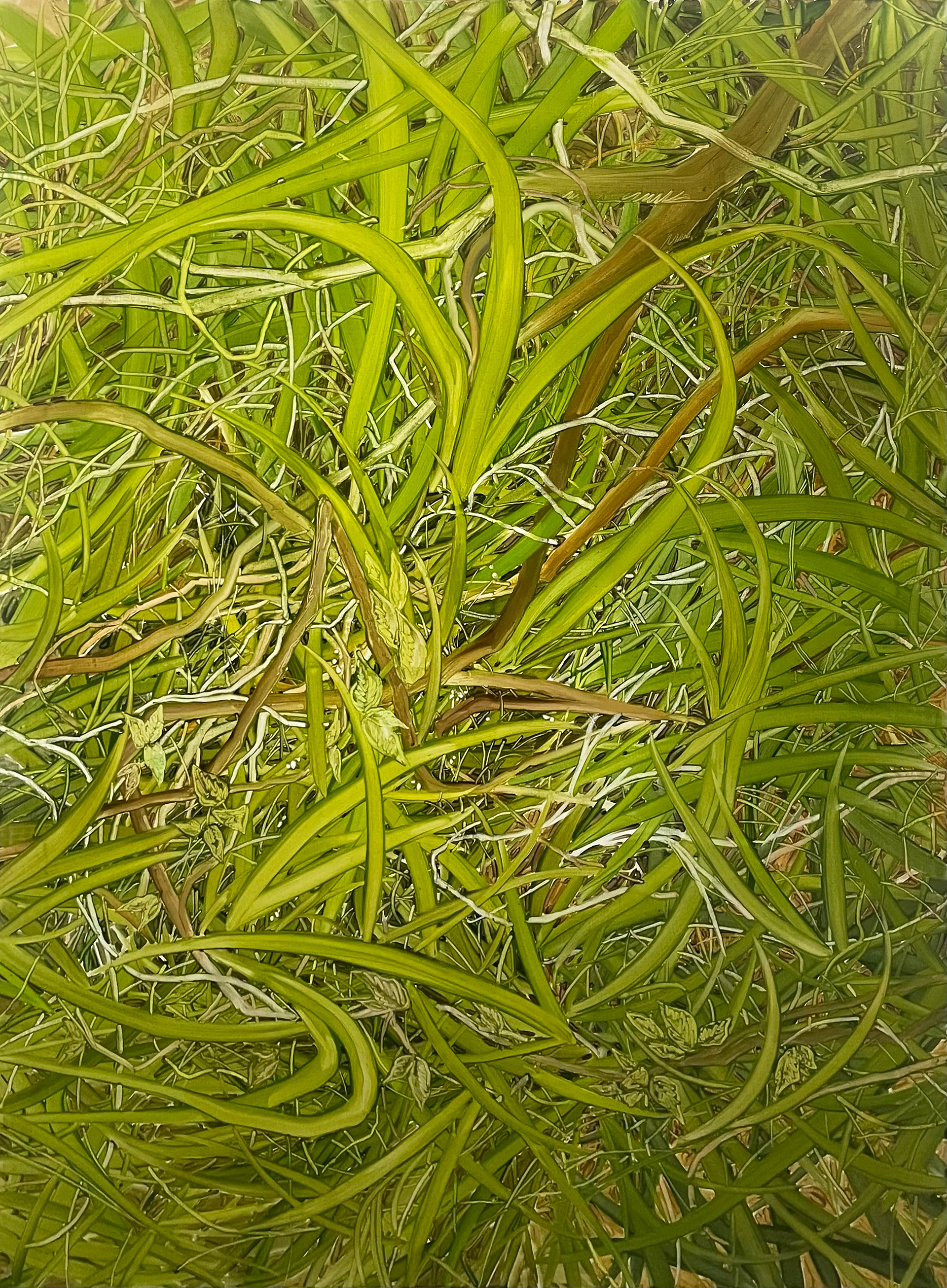 우연히 마주친, Oil and oil pastel on canvas, 130.3x97cm, 2024
