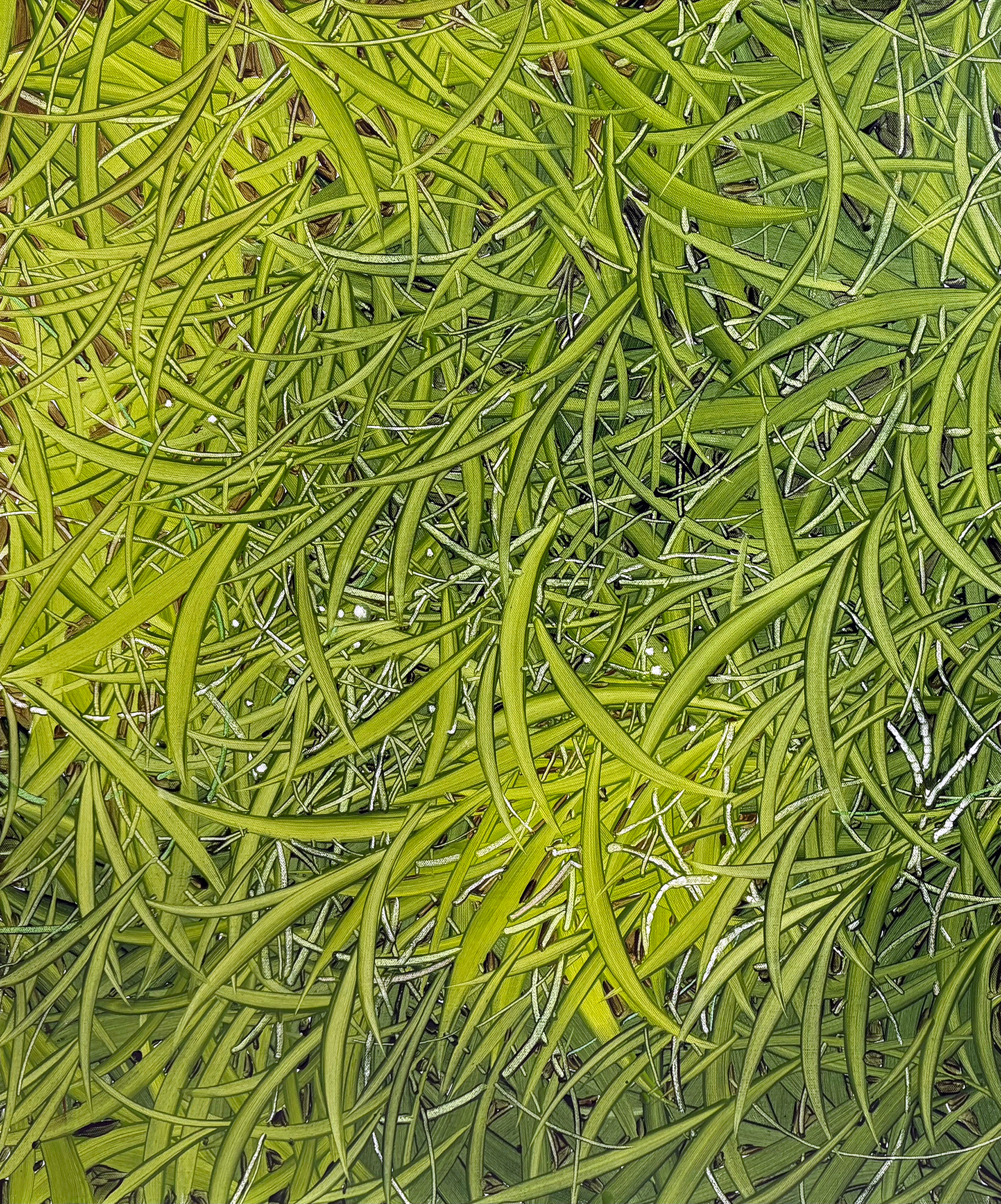 햇볕을 머금은, Oil and oil pastel on canvas, 72.7x60.6cm, 2025