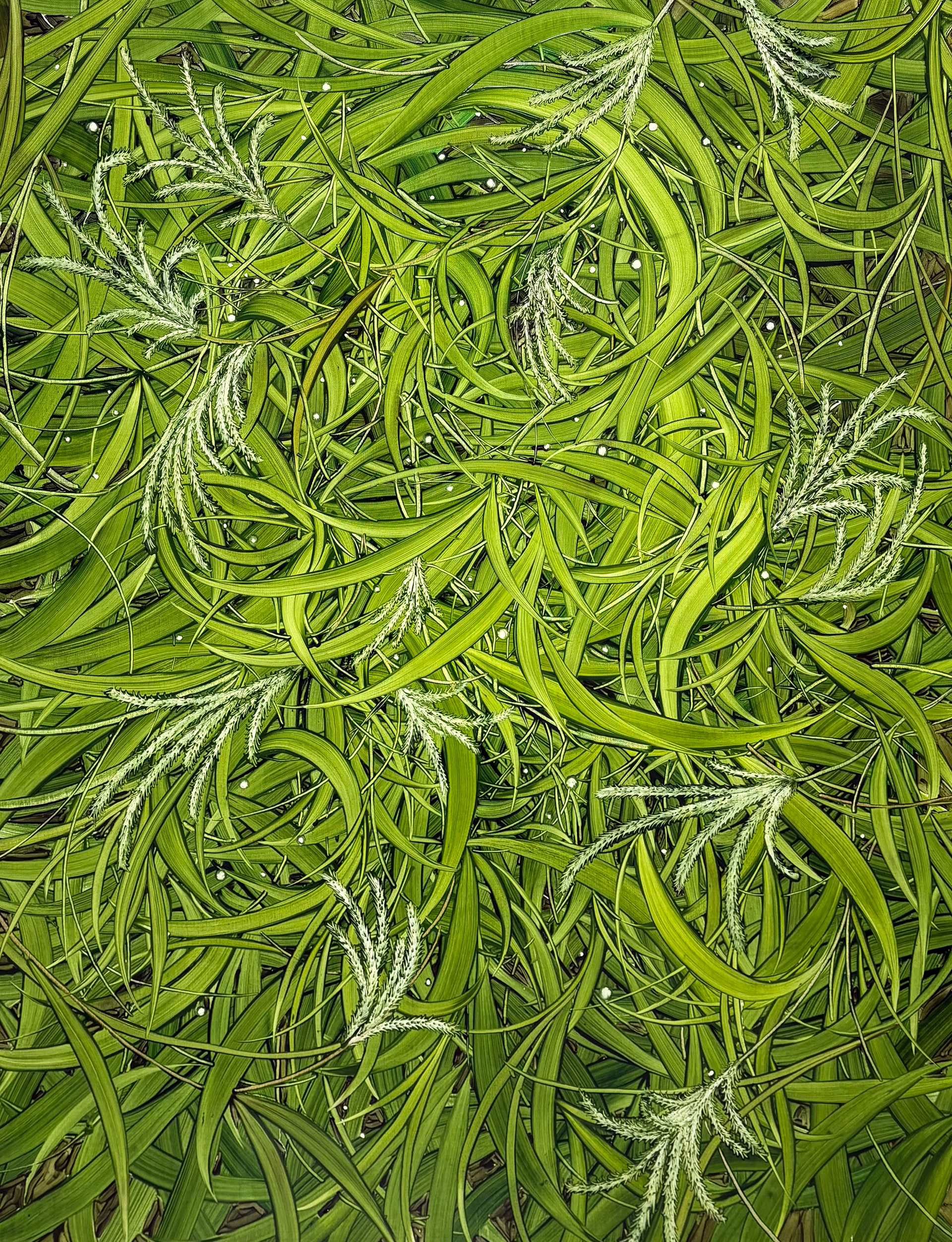 너의 이름은, Oil and oil pastel on canvas, 116.8x91.0cm, 2025