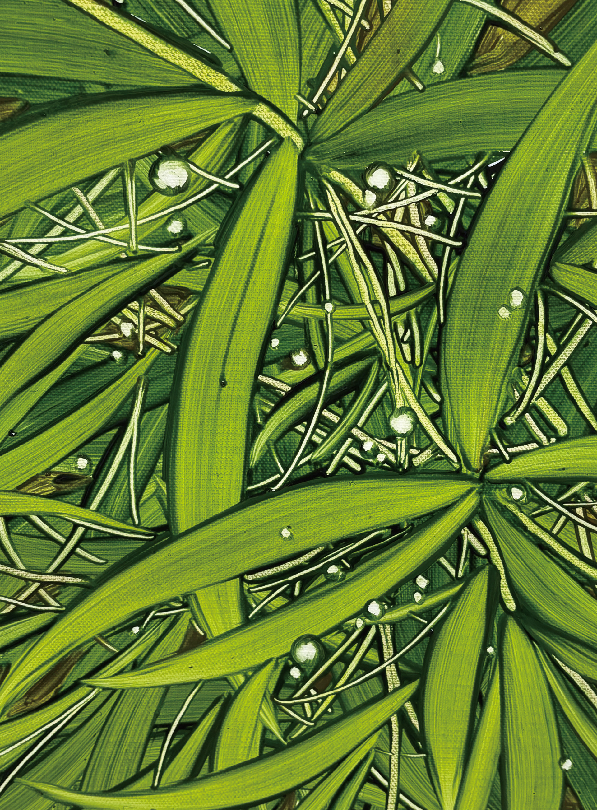 늘 곁에 2, Oil and oil pastel on canvas, 25.8x17.9cm, 2026