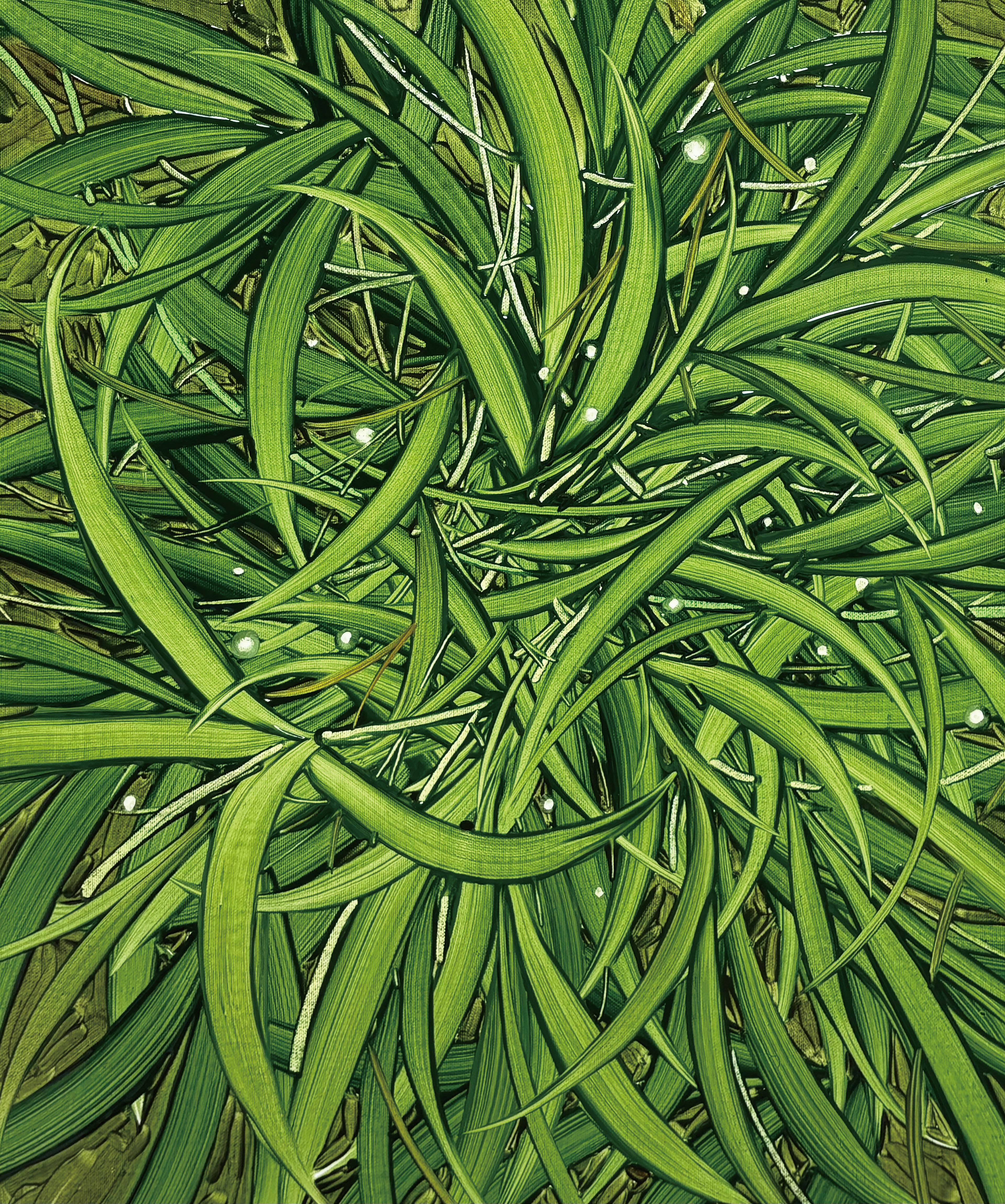 풀내음, Oil and oil pastel on canvas, 53.0x45.5cm, 2025