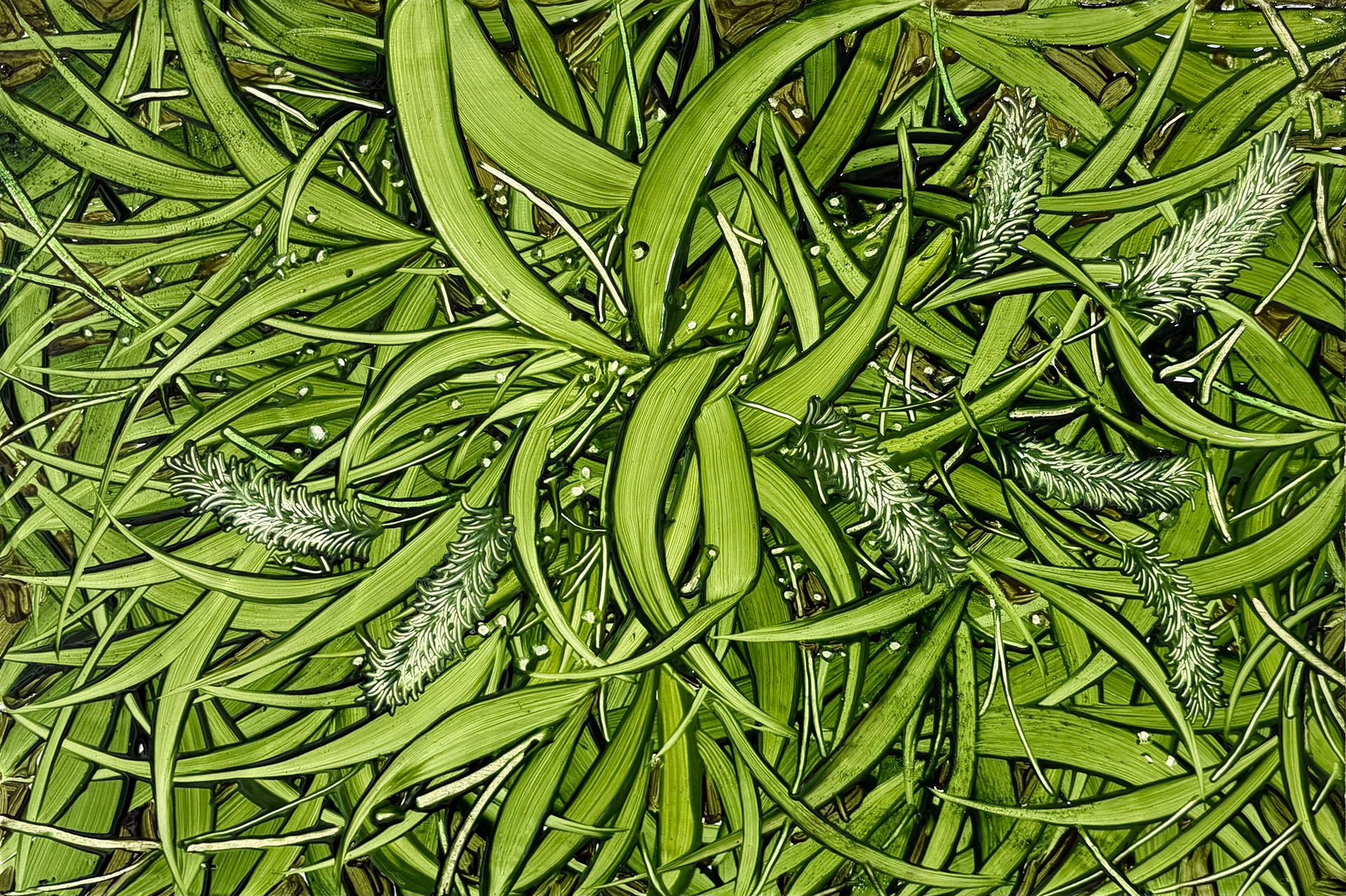 너의 의미, Oil and oil pastel on wooden panel, 27.3x40.9cm, 2025