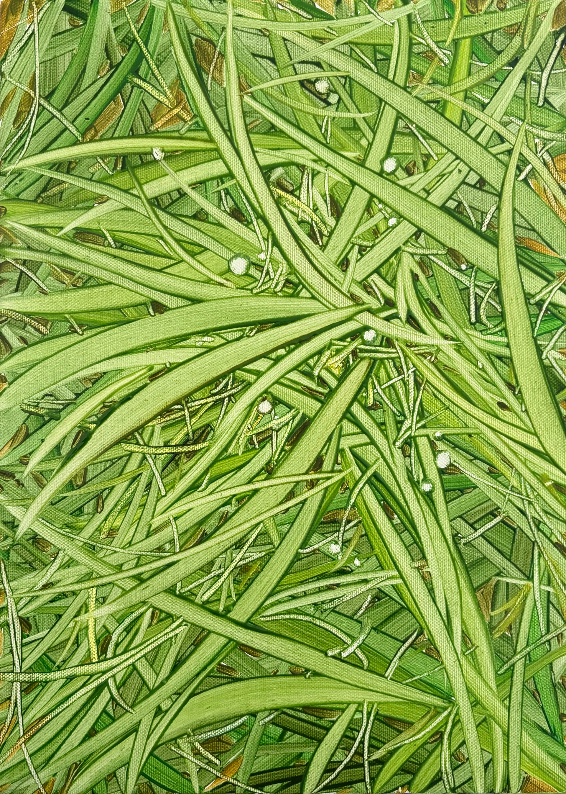 풀 위 바람, Oil and oil pastel on canvas, 33.4x24.2cm, 2025