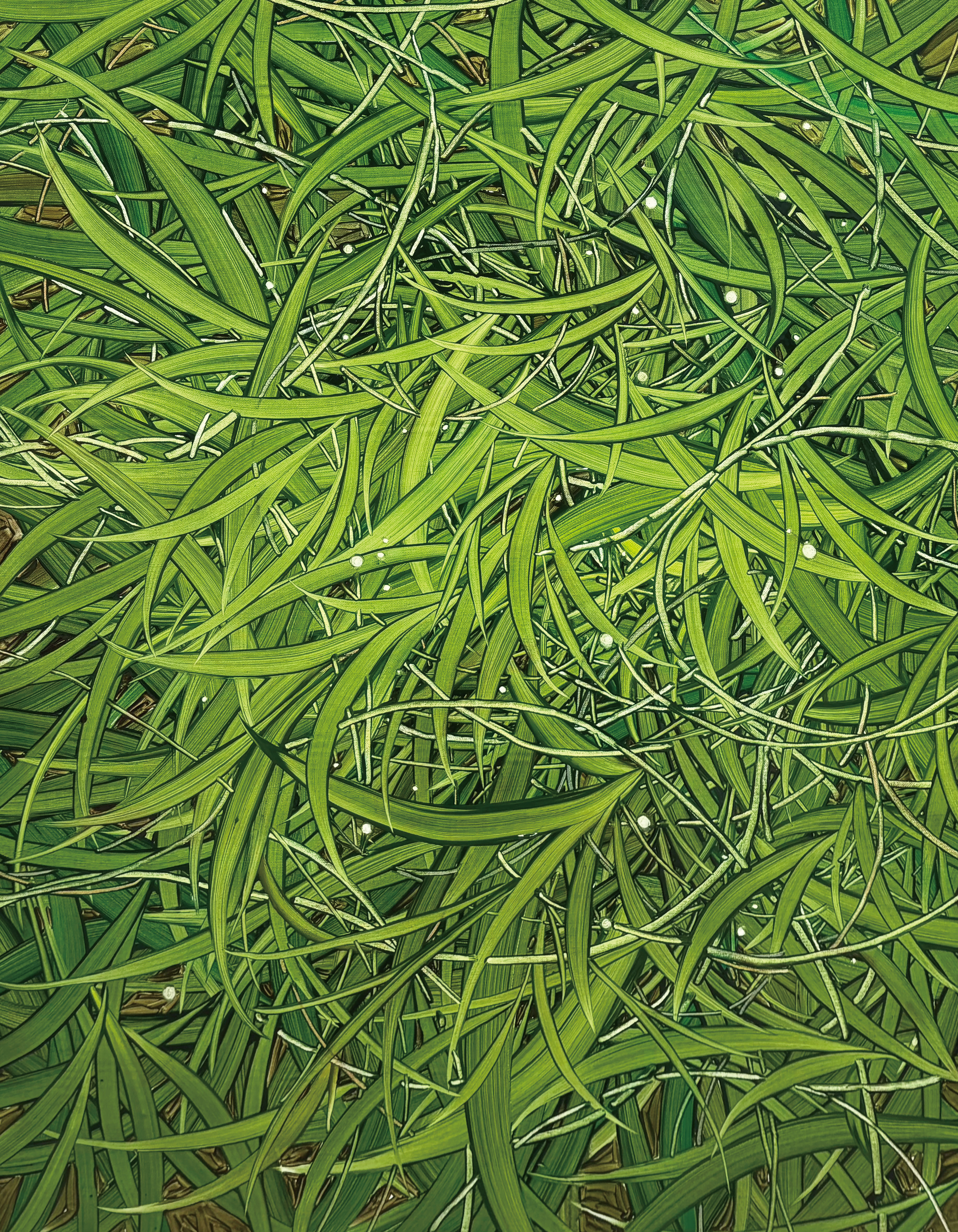 머무는 햇살, Oil and oil pastel on canvas, 91.0x72.7cm, 2025