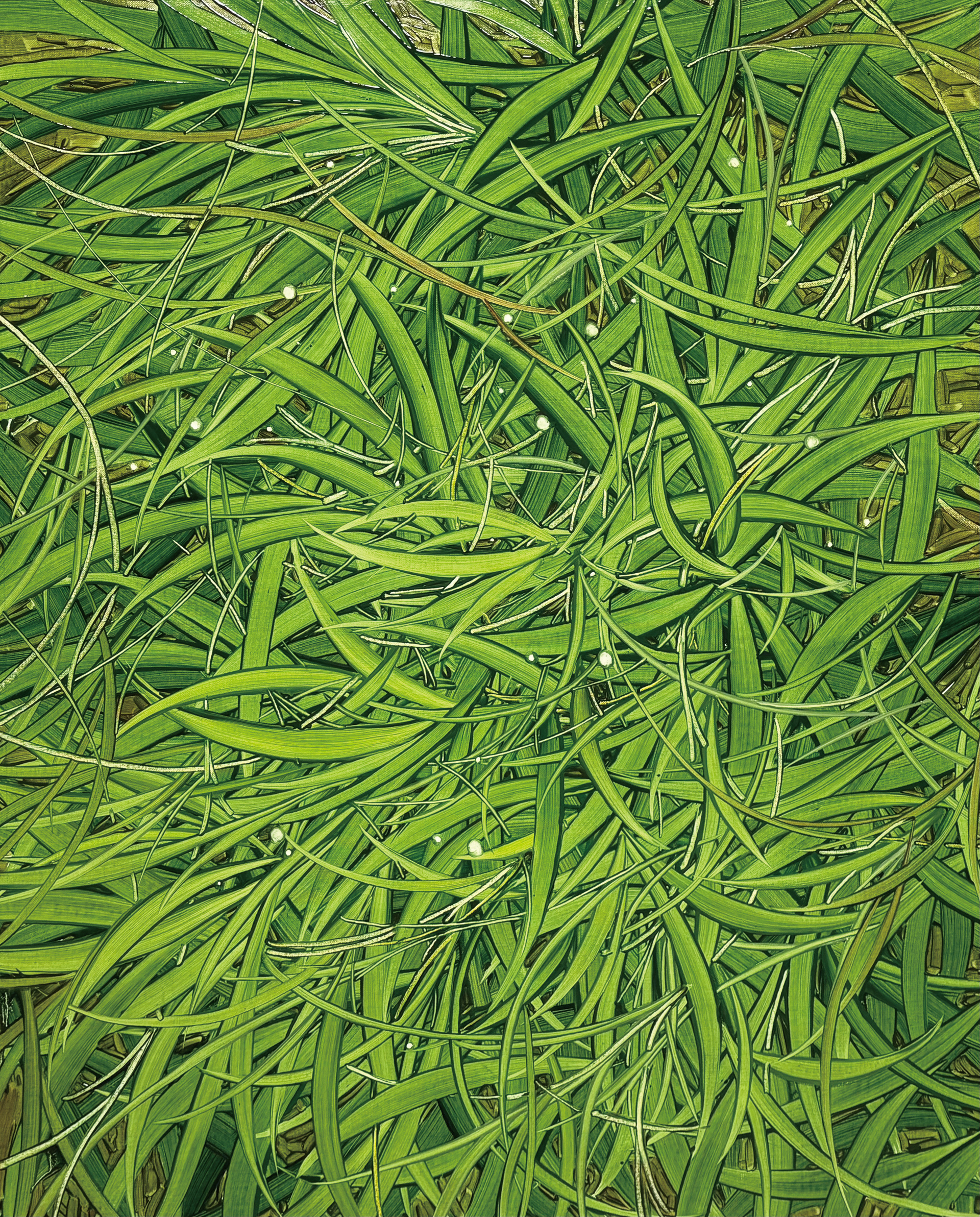 YOU, Oil and oil pastel on canvas, 100x80.3cm, 2025