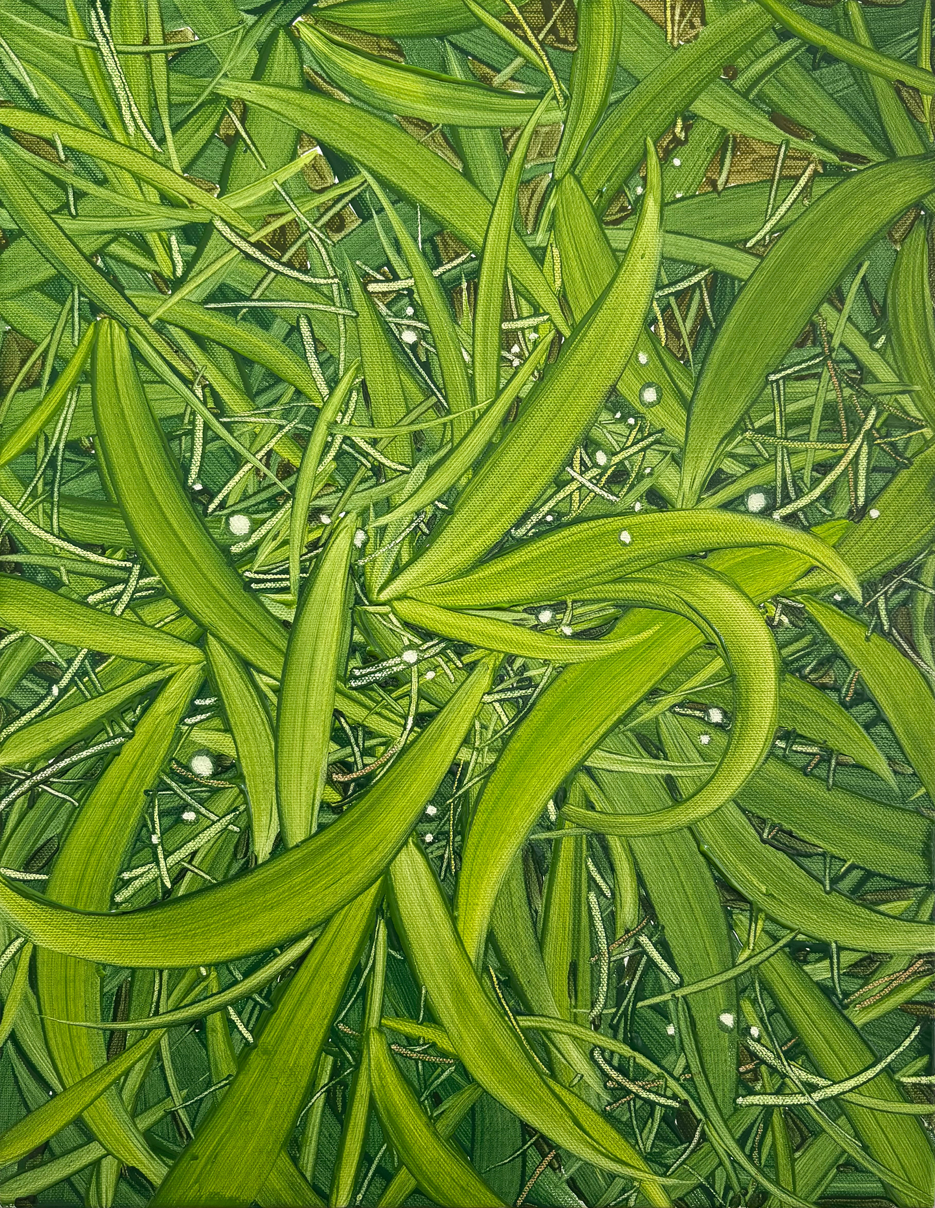 바람결 1, Oil and oil pastel on canvas, 40.9x31.8cm, 2025