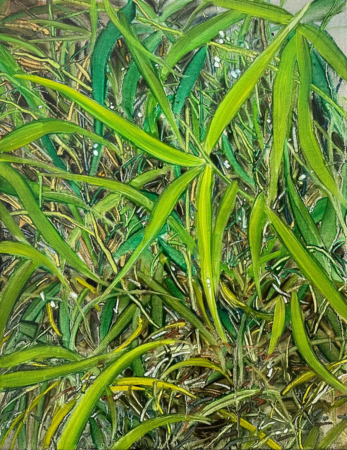 풀 아래 1, Oil and oil pastel on canvas, 45.5x37.9cm, 2023