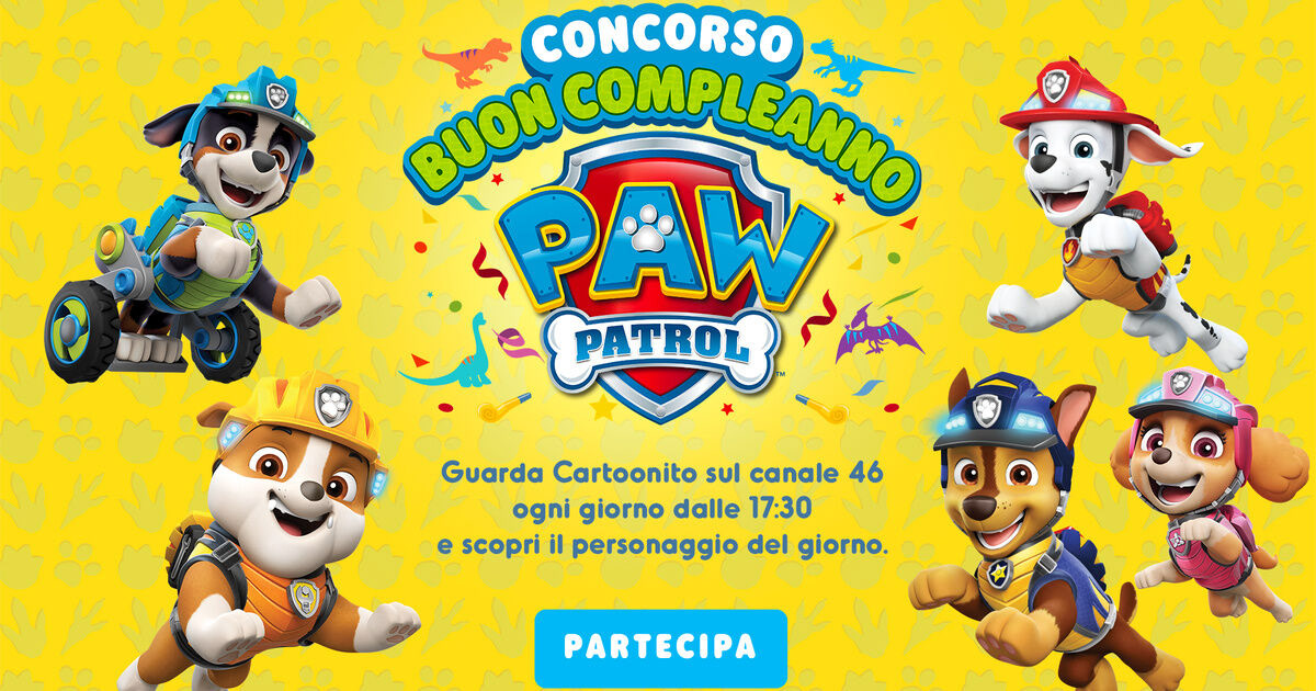 Paw Patrol Birthday Competition project