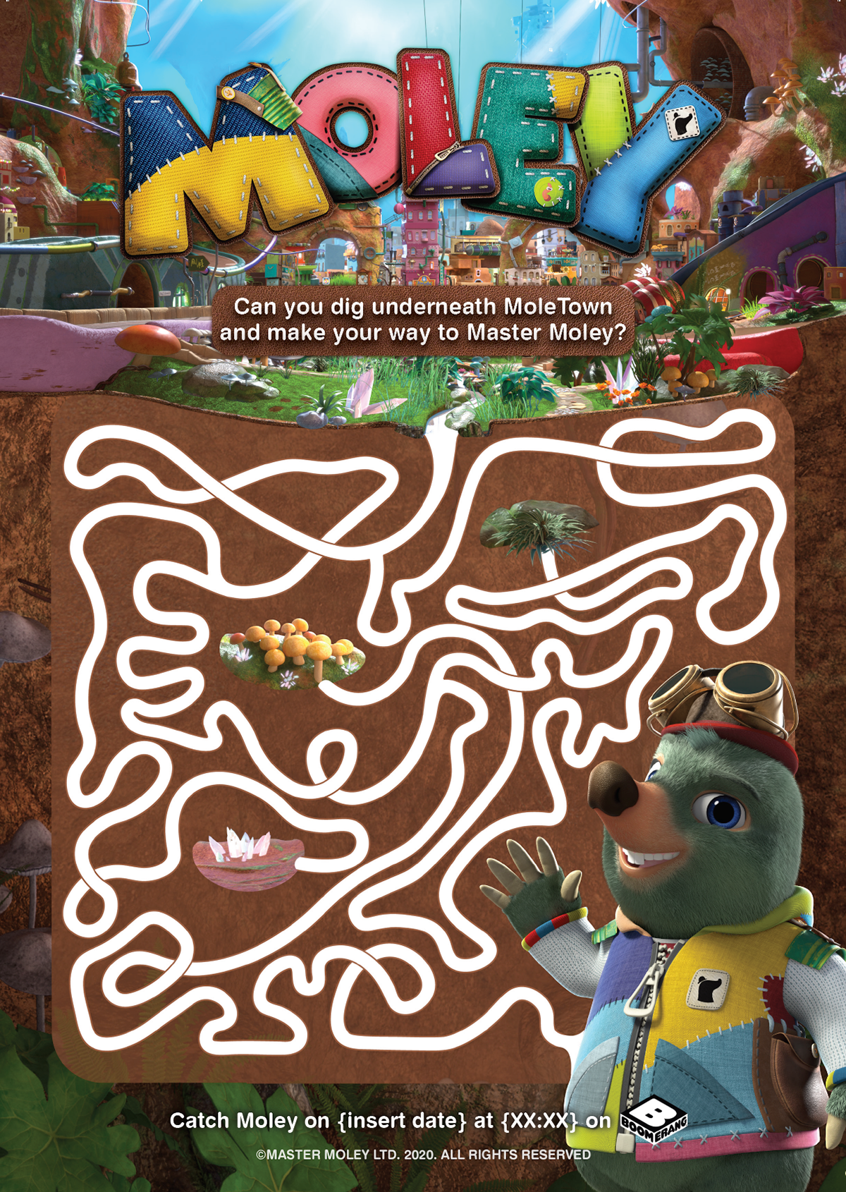 Activity Sheet