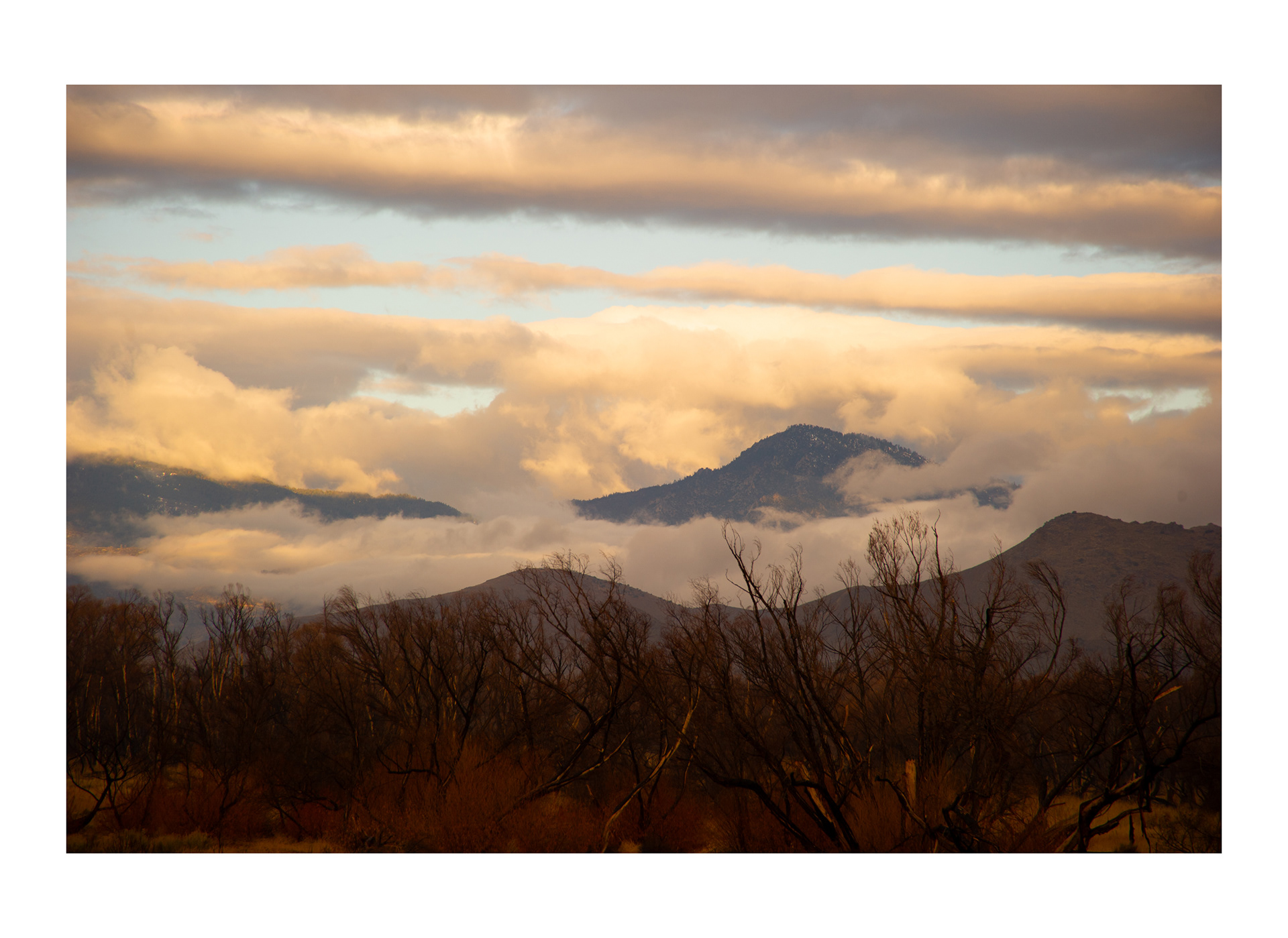 Ref: 4068_ca_SCAPES