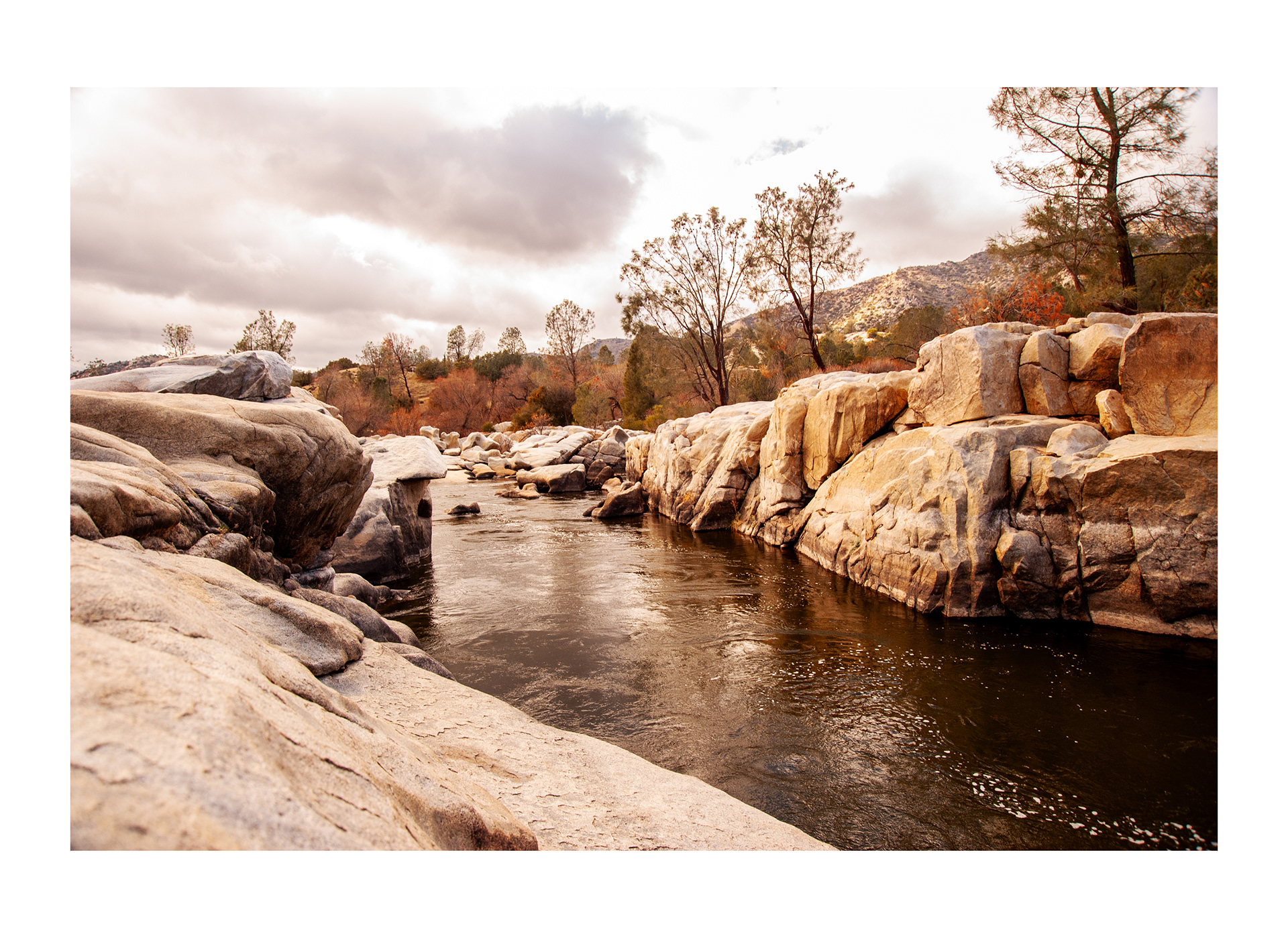 Ref: 4204_ca_SCAPES