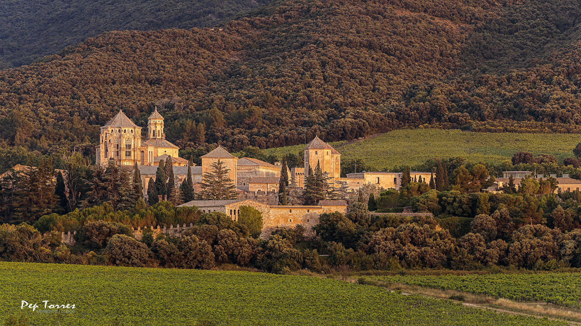 Reial Monestir de Santa Maria de Poblet