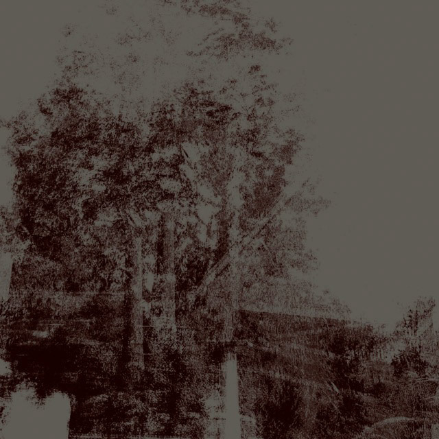 woodcut