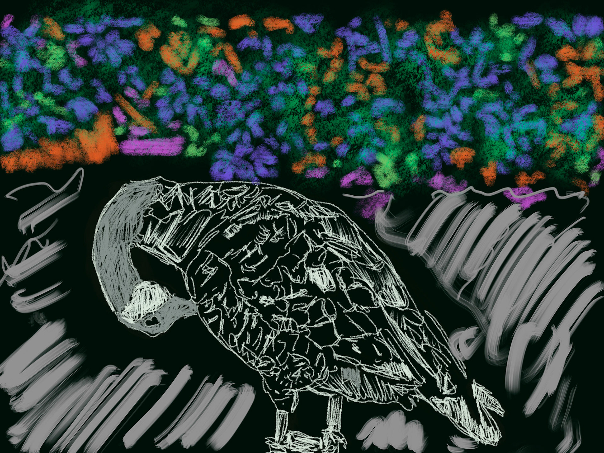 Bird