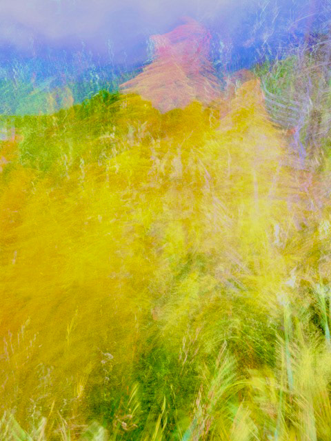 And They Danced into a fury to cover the hilltops
