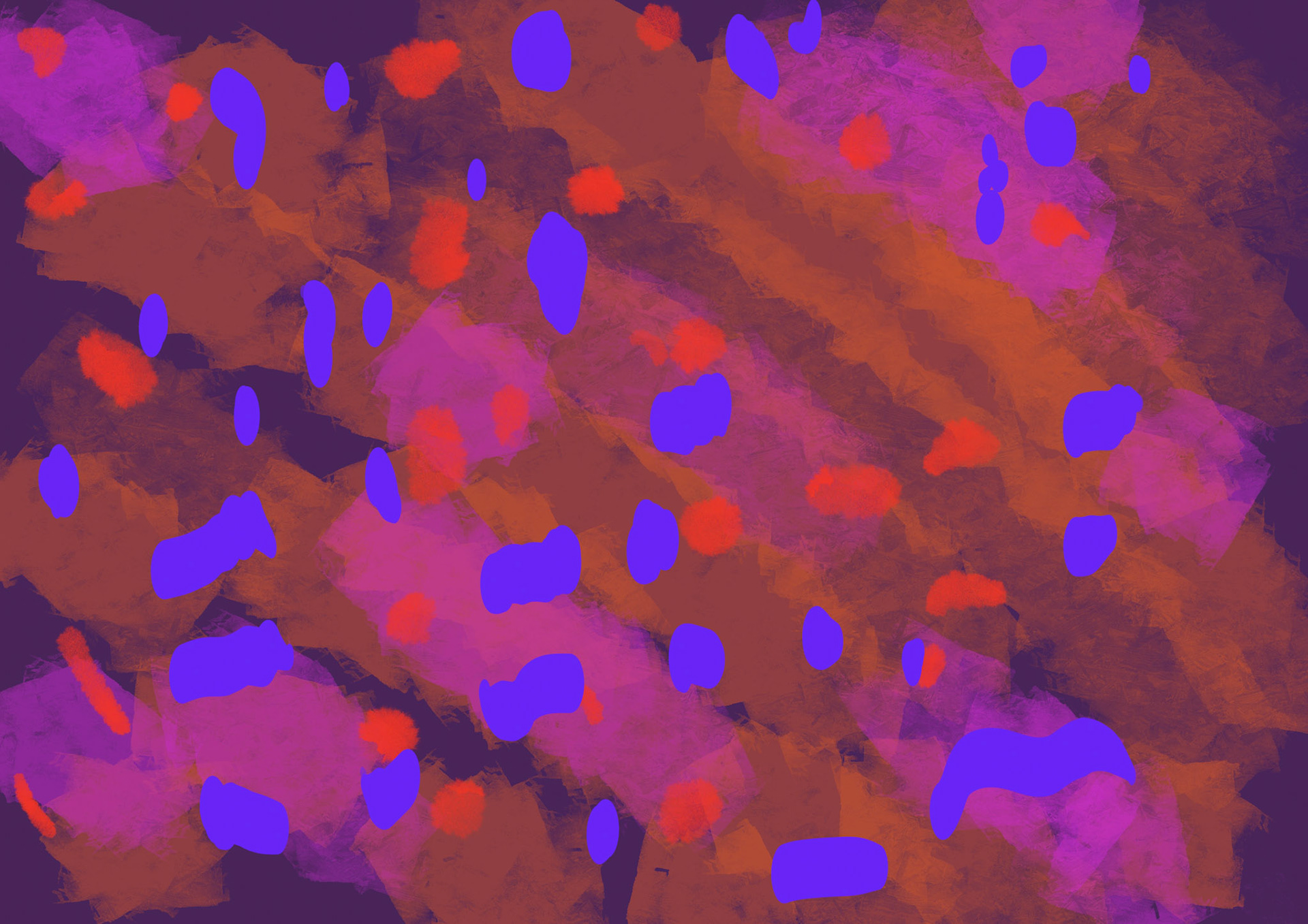 Untitled Artwork