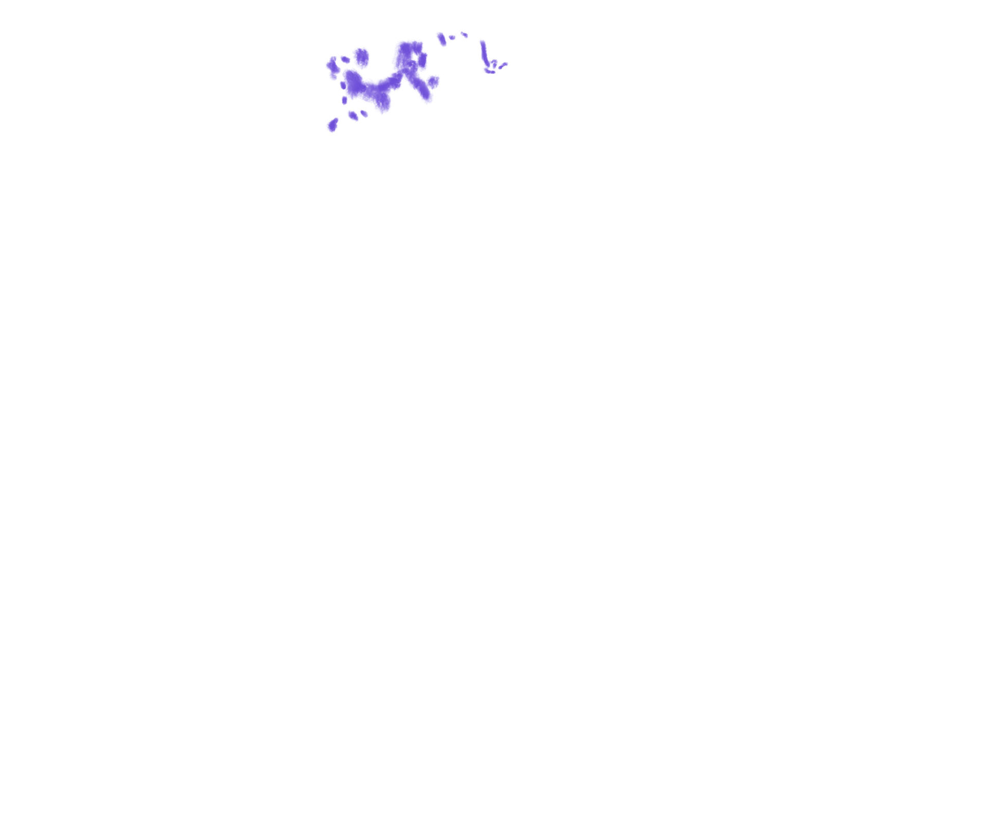 Layer 6
