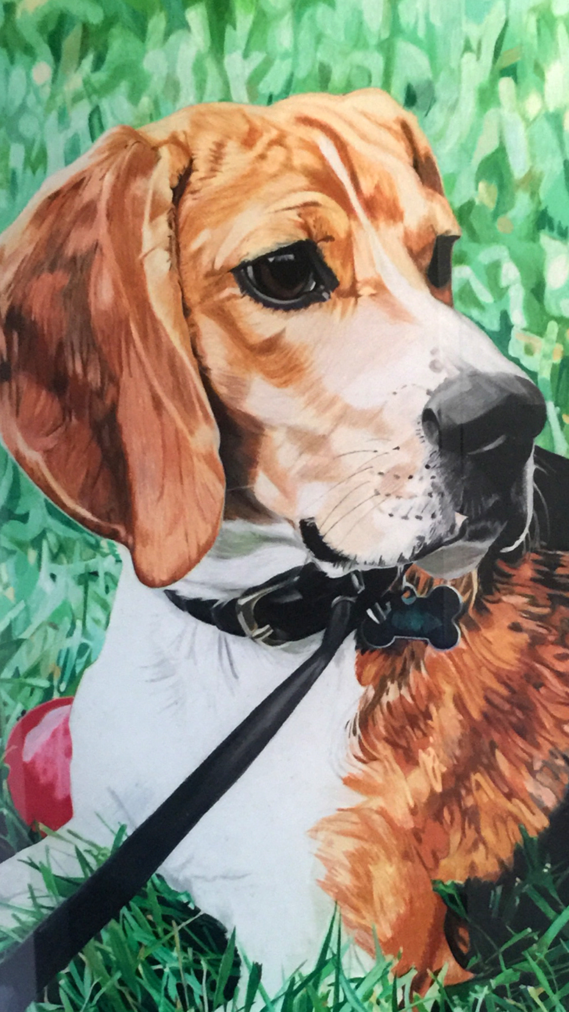 Roy, 5x3', Colored Pencil