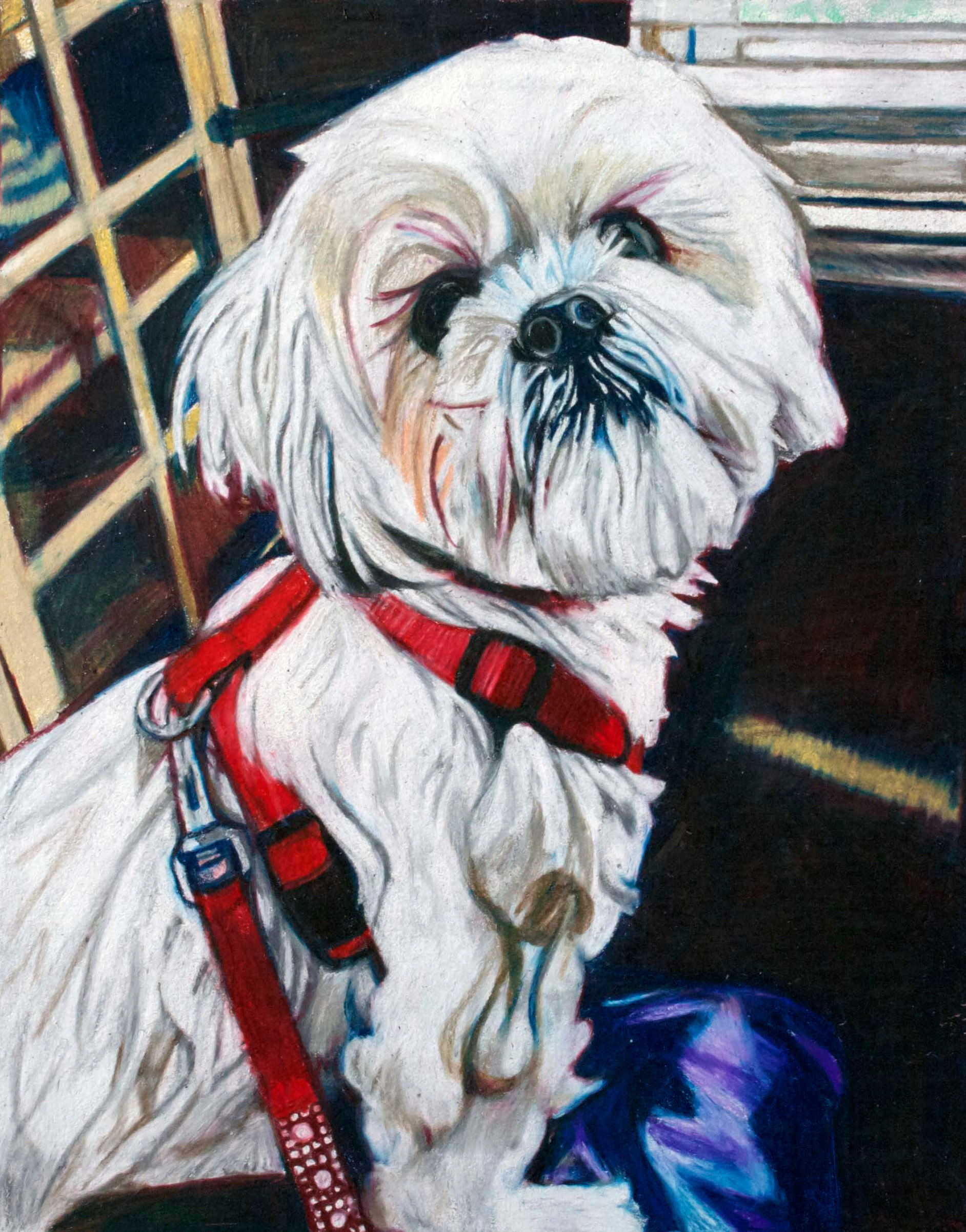 Spanky, 2013 Colored Pencil 14x18"