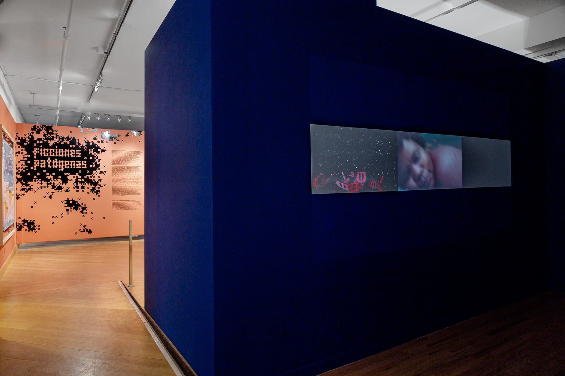 Installation view of ficciones patógenas, curated by Georgie Sánchez and Stamatina Gregory, Head Curator / Director of Exhibitions and Collections (Leslie-Lohman Museum of Art, New York, March 14 - July 27, 2025). Photograph by Daniel Terna. © 2025 Leslie-Lohman Museum of Art, New York.