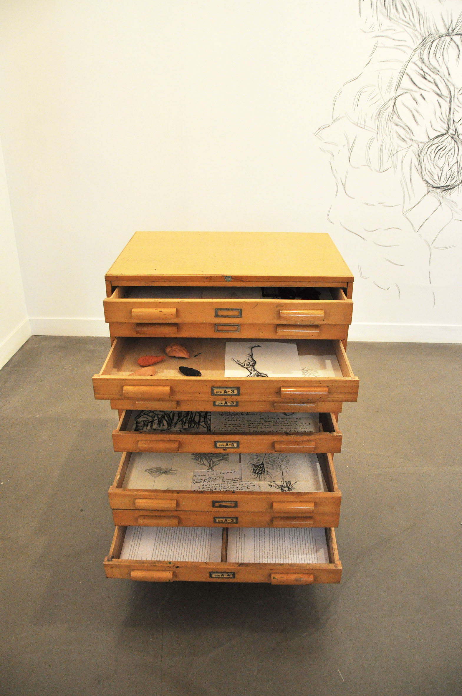 Ficciones Patógenas, La Taller, 2016