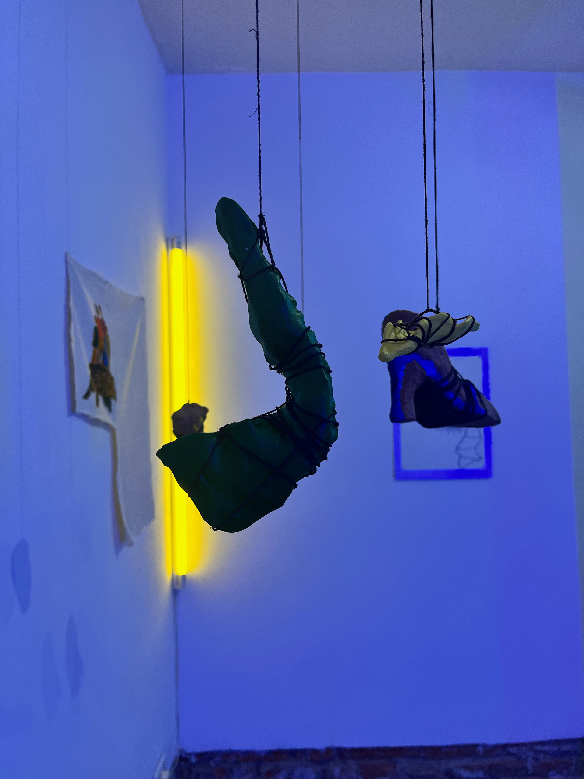 Las Luciérnagas (2024) vista de Sala, Galeria La Arte Contemporánea, 2024, Salta.