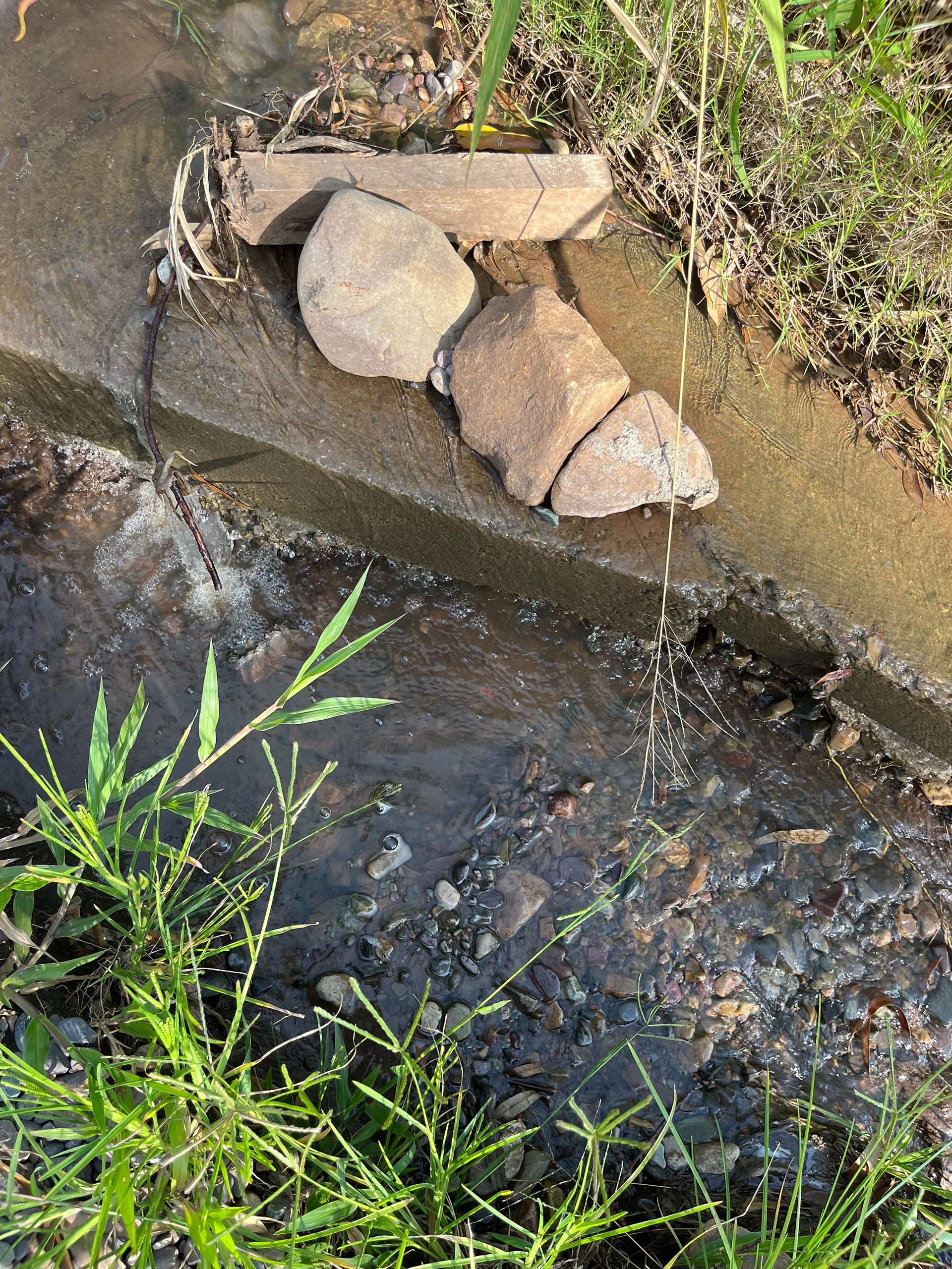 Las piedras de mi casa, fotografía digital, Duen Neka'hen Sacchi, 2024