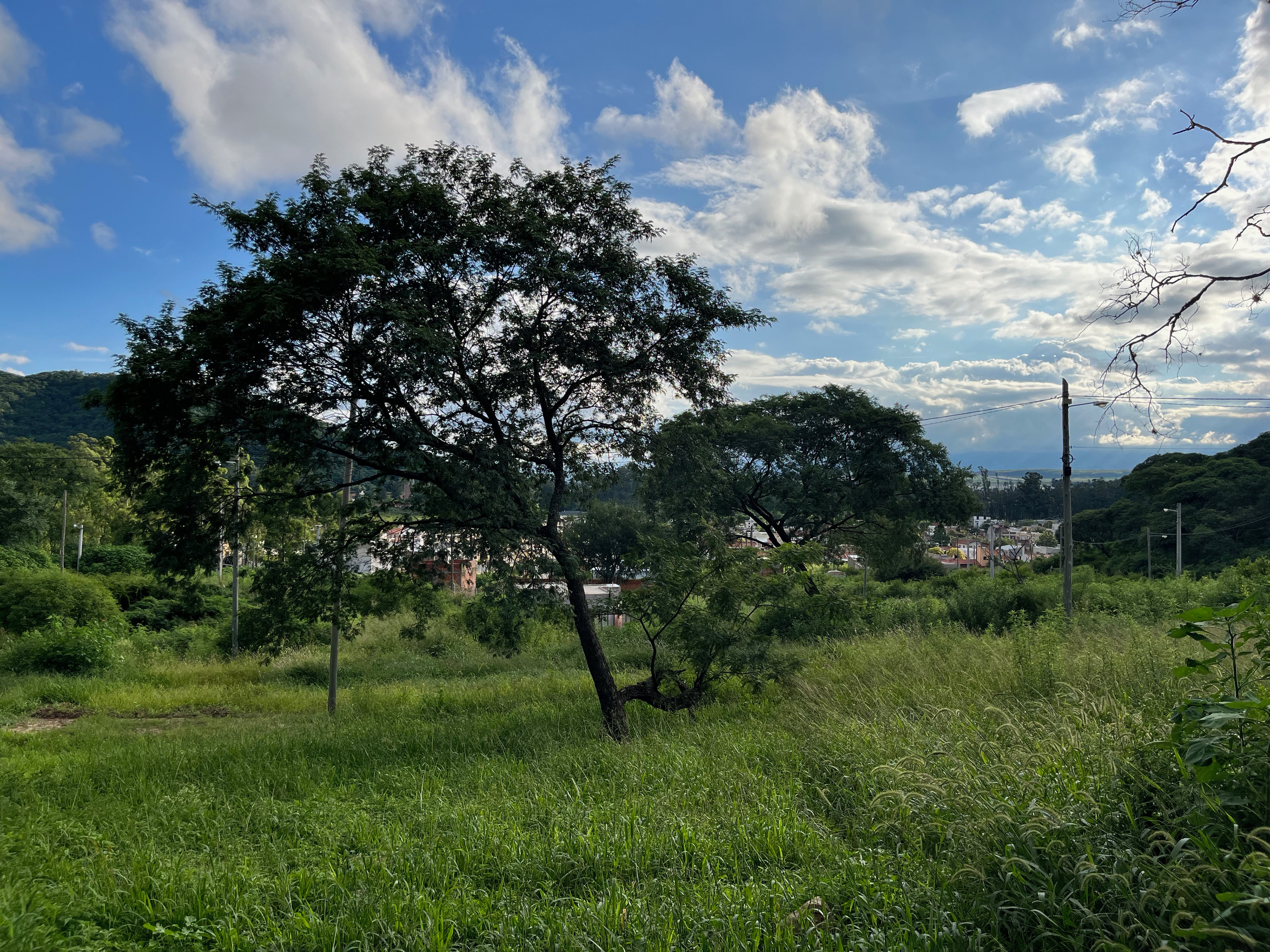 Las piedras de mi casa, fotografía digital, Duen Neka'hen Sacchi, 2024