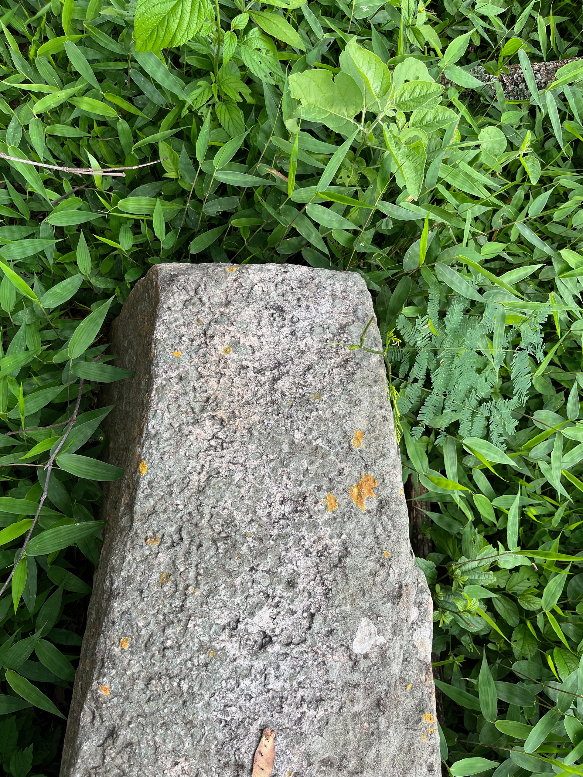 Las piedras de mi casa, fotografía digital, Duen Neka'hen Sacchi, 2024