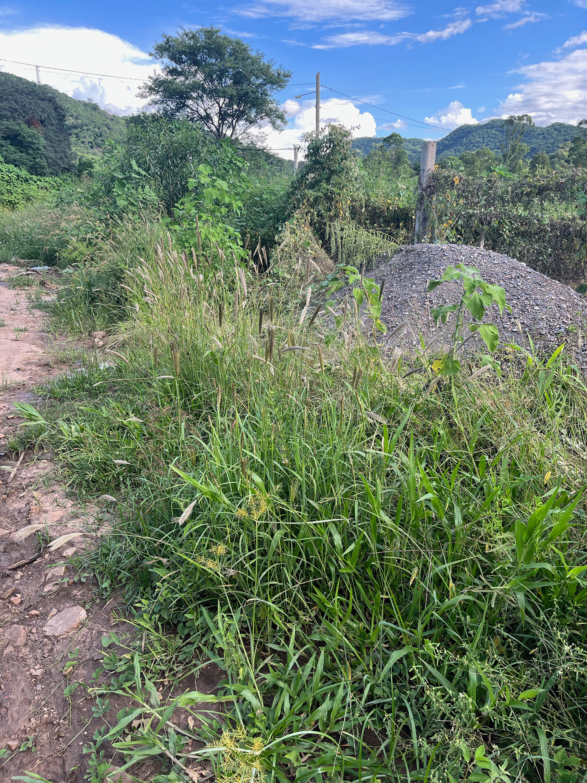 Las piedras de mi casa, fotografía digital, Duen Neka'hen Sacchi, 2024