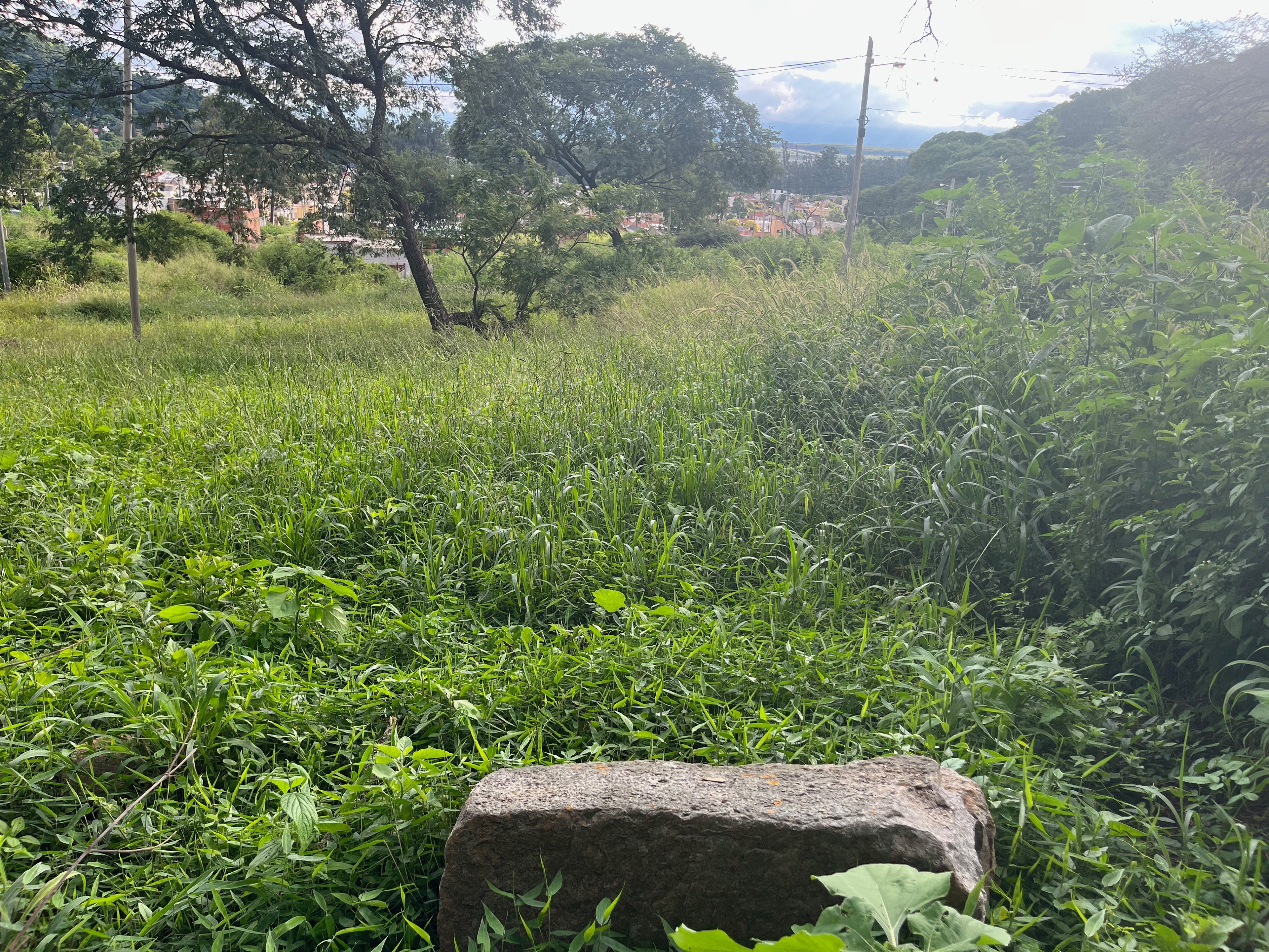 Las piedras de mi casa, fotografía digital, Duen Neka'hen Sacchi, 2024