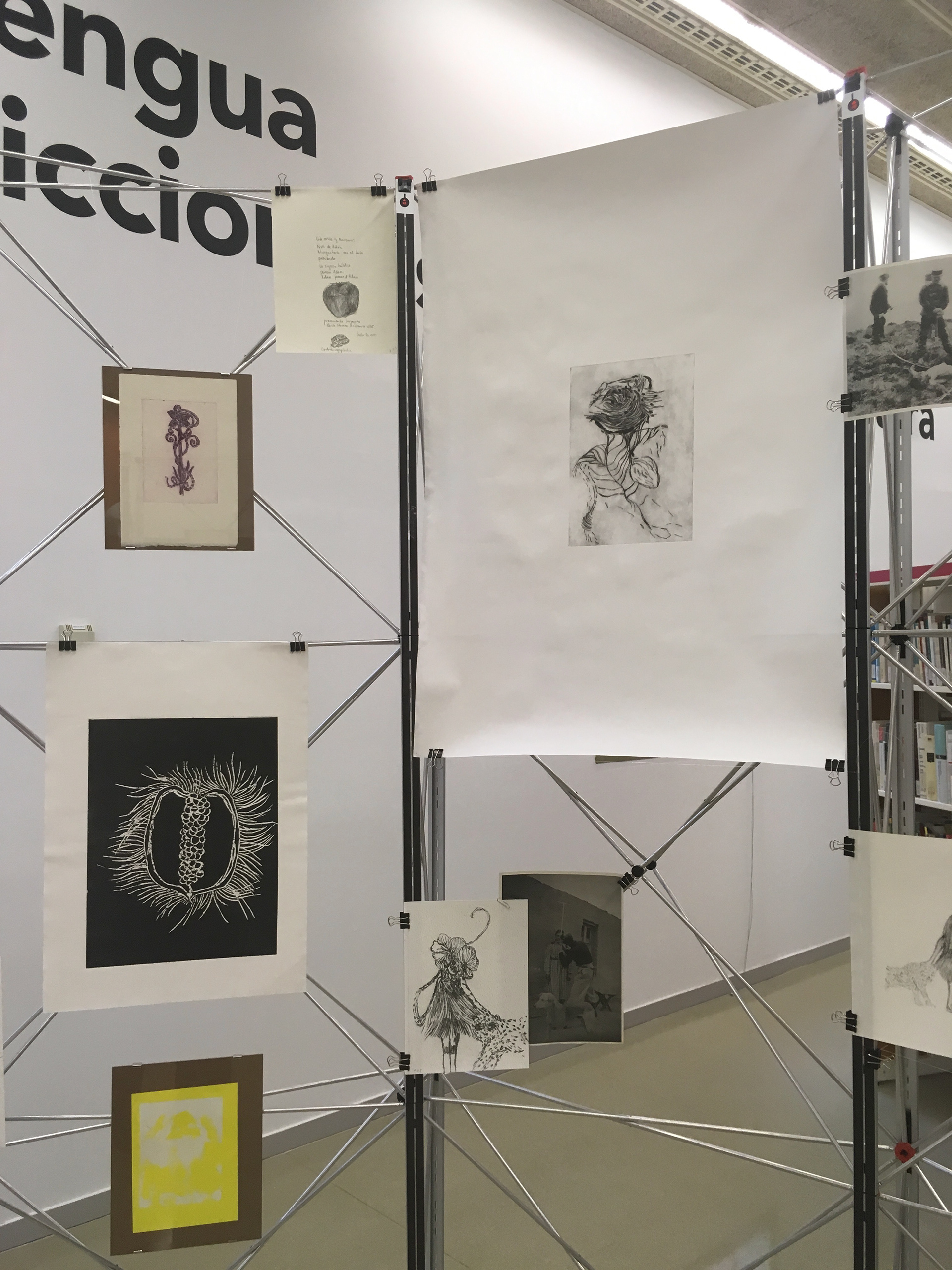 Pequeña historia de mi nuez para bibliotecas desviadas, 2019, Biblioteca Nou Barris, Barcelona.