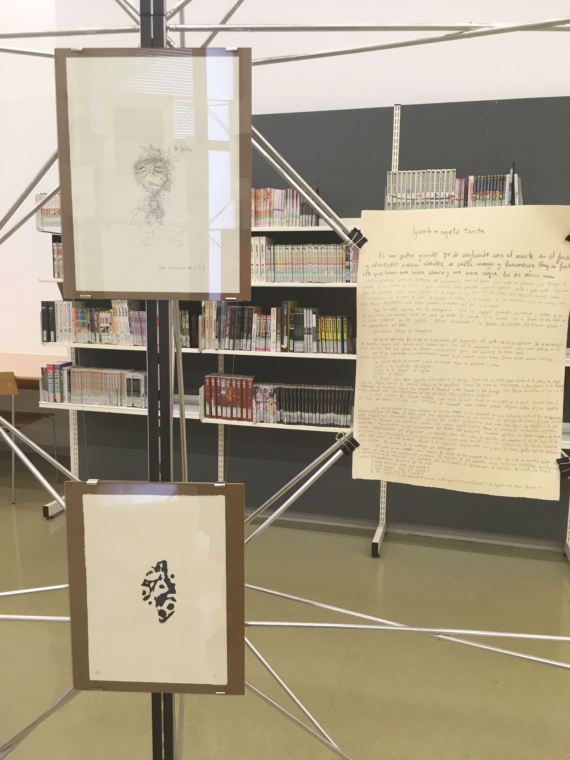 Pequeña historia de mi nuez para bibliotecas desviadas, 2019, Biblioteca Nou Barris, Barcelona.