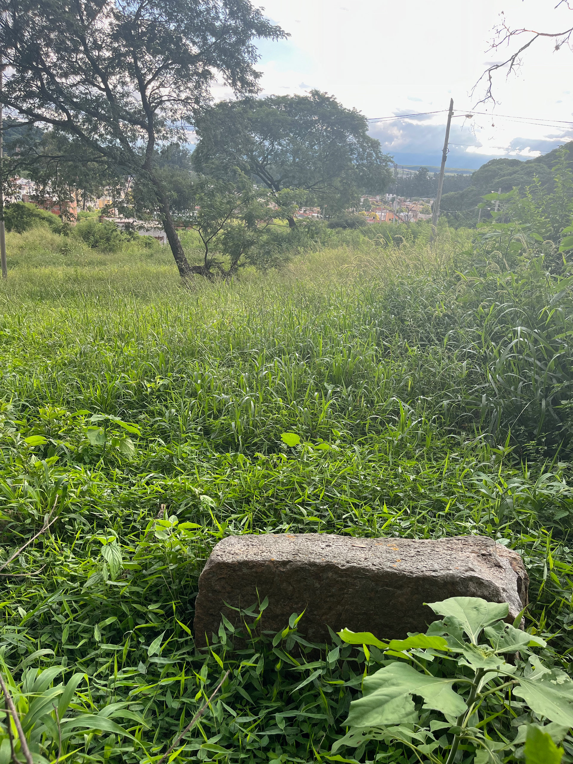 Las piedras de mi casa, fotografía digital, Duen Neka'hen Sacchi, 2024