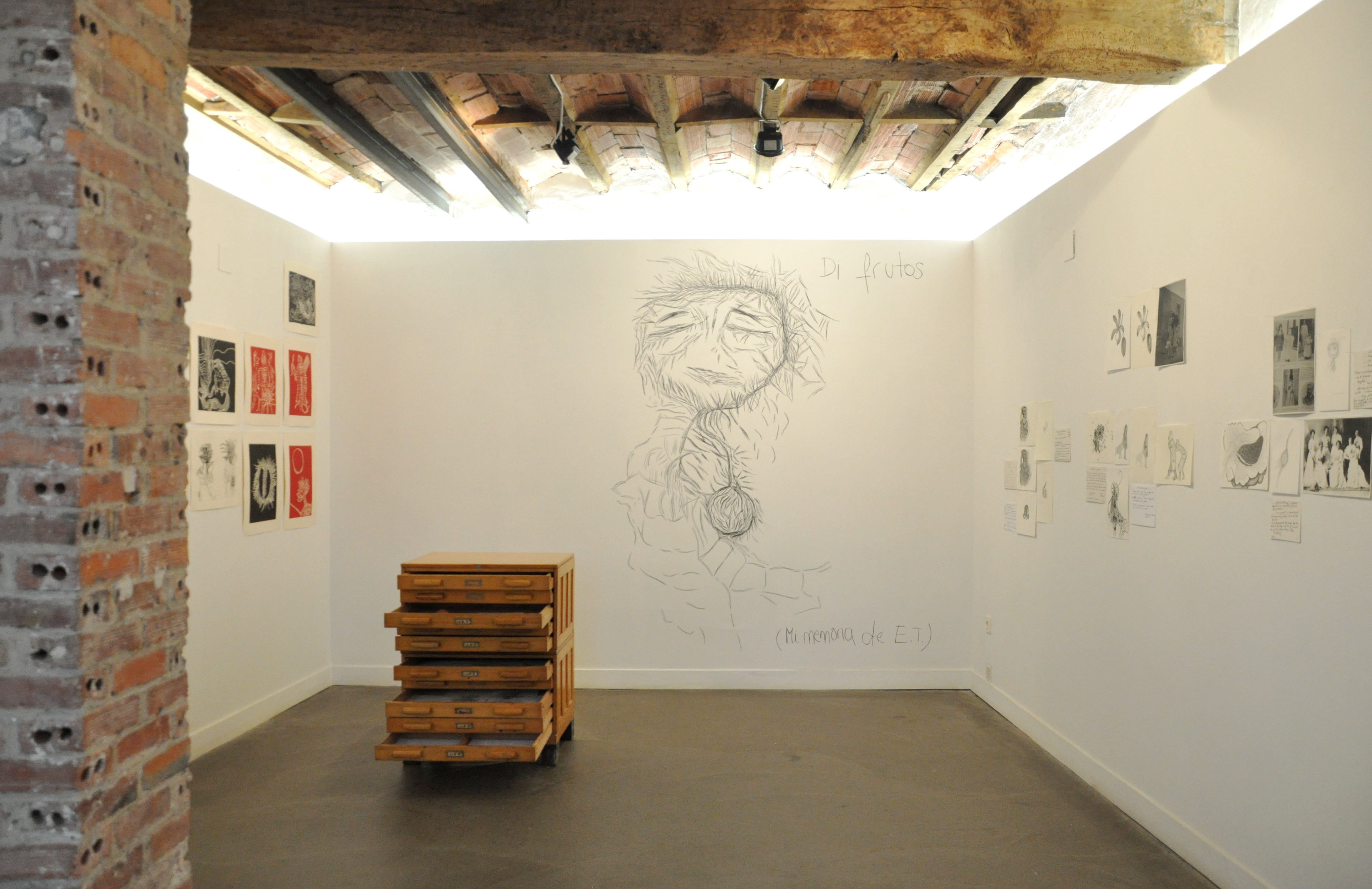 Ficciones Patógenas, La Taller, 2016