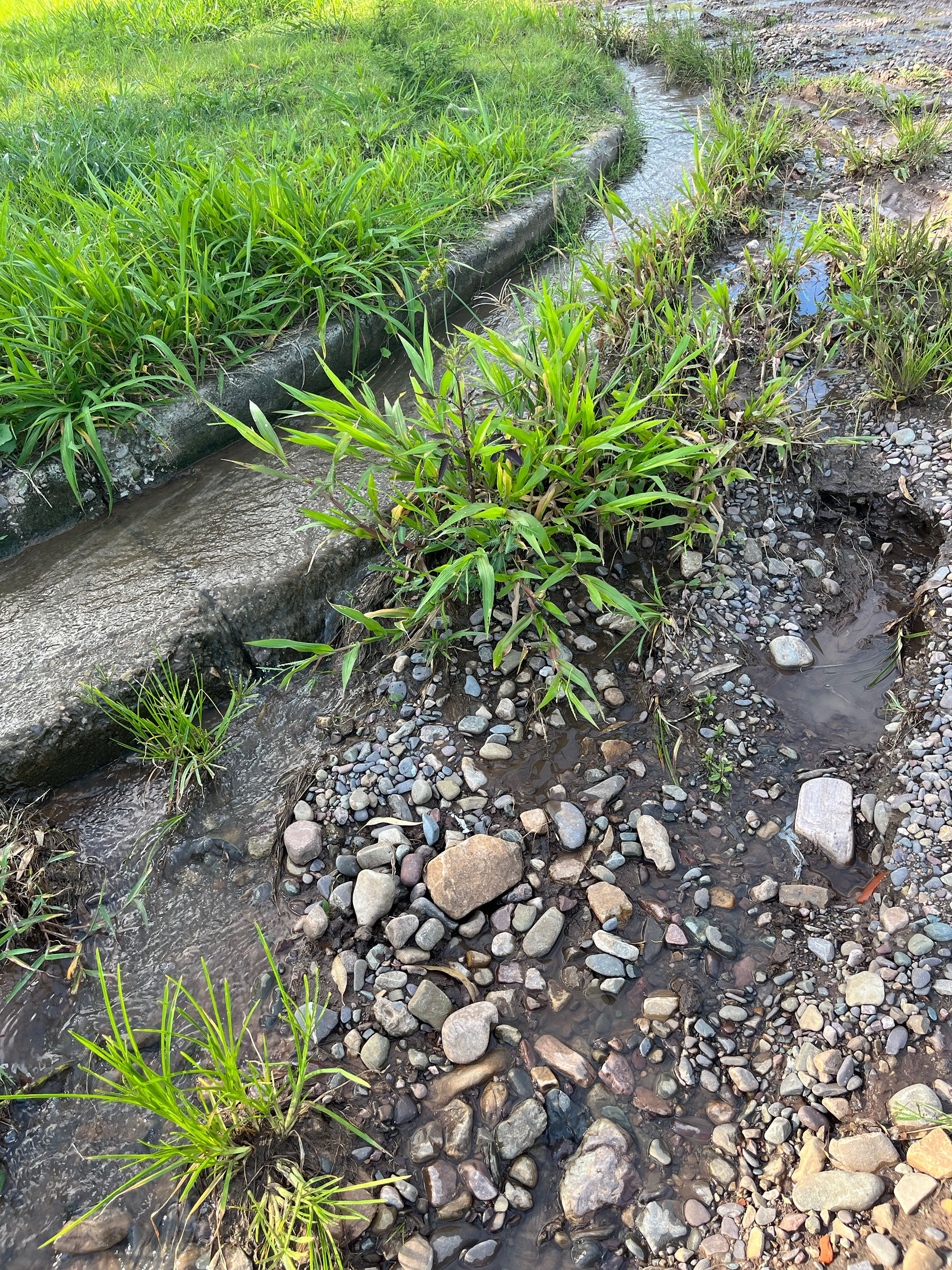 Las piedras de mi casa, fotografía digital, Duen Neka'hen Sacchi, 2024