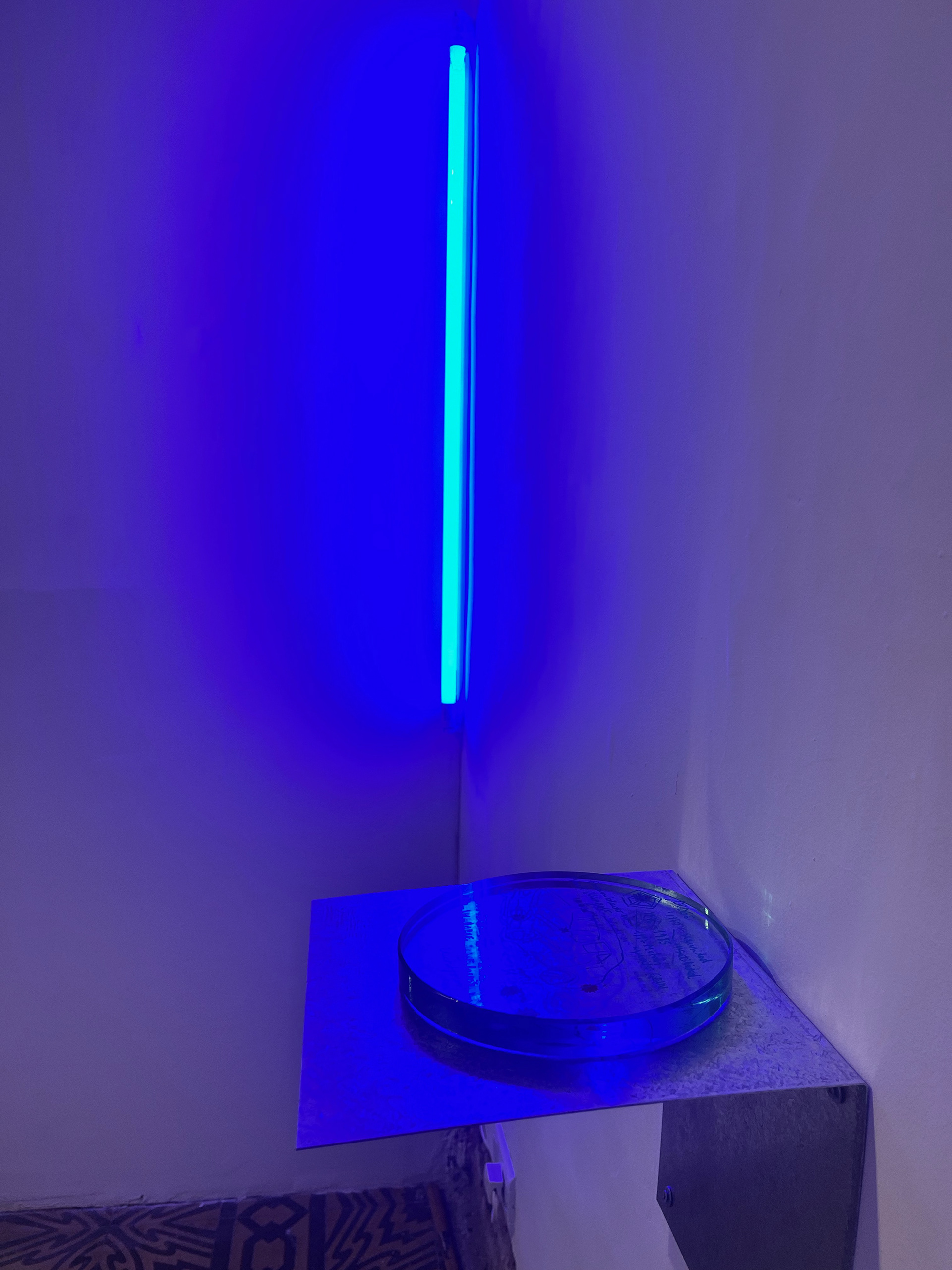 Las Luciérnagas (2024) vista de Sala, Galeria La Arte Contemporánea, 2024, Salta.