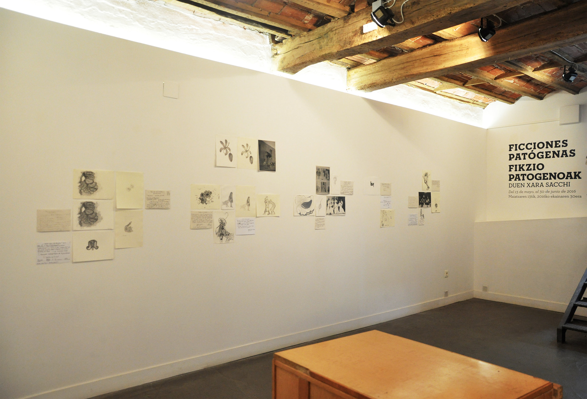 Ficciones Patógenas, La Taller, 2016