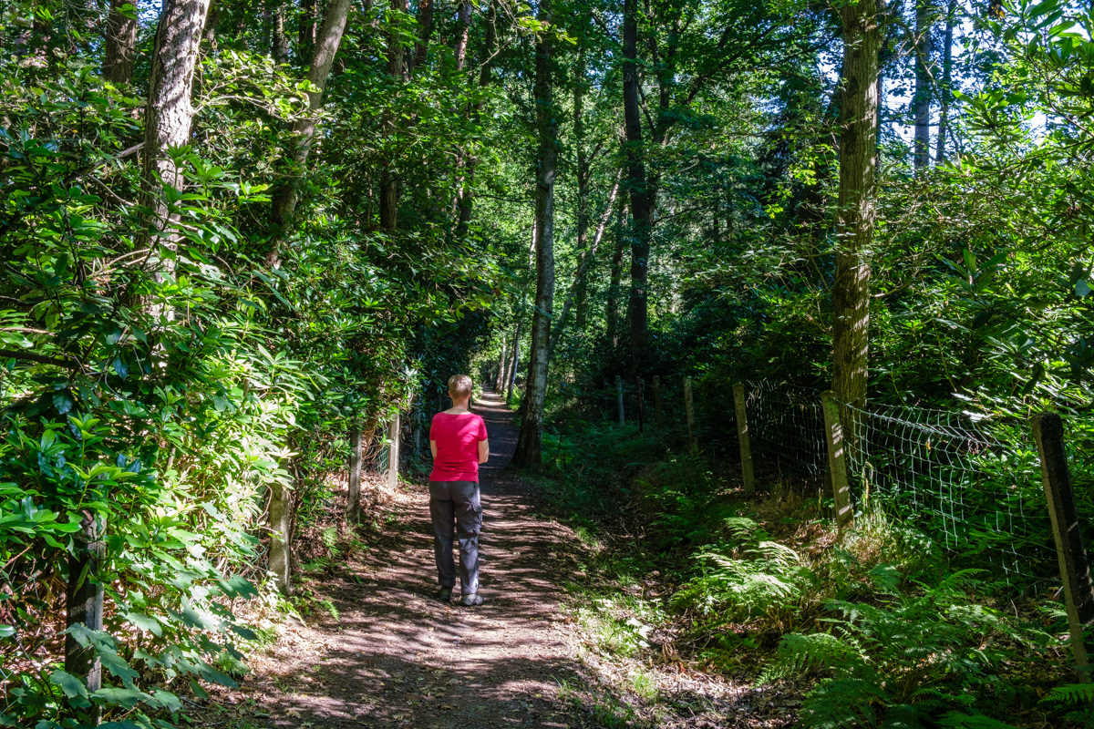 Weduwe Voswegel - Puivelde