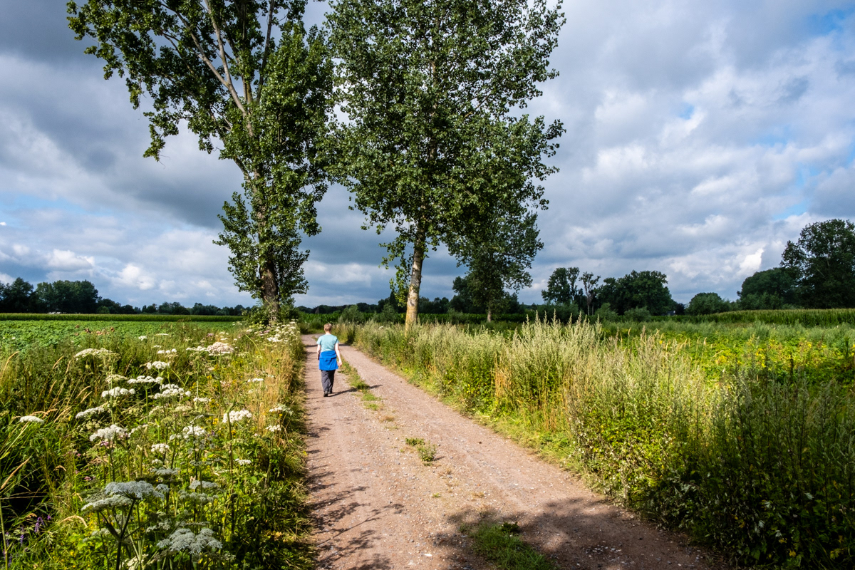 Tussen Sinaai en Lokeren