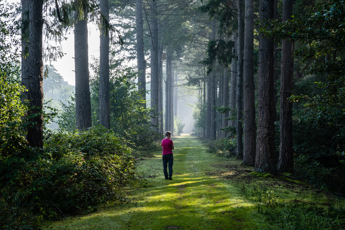 Stropersbos - Stekene