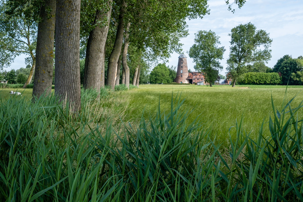 Tussen Melsele en Beveren