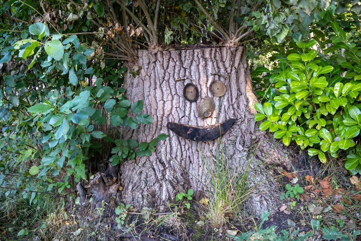 Tussen Sinaai en Lokeren