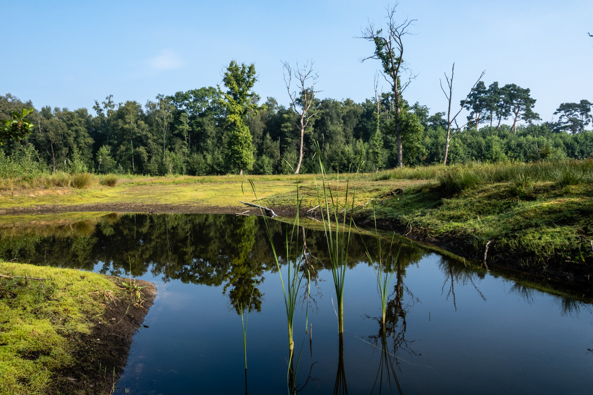 Stropersbos - Stekene