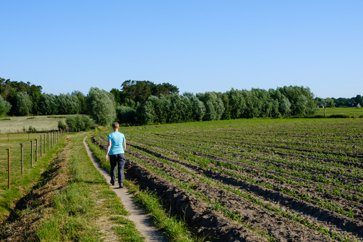 Cuesta van het Waasland