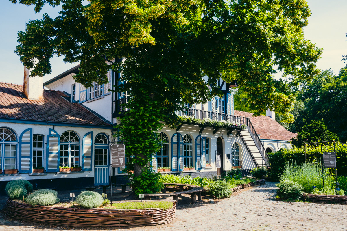Hof ter Saksen -Beveren