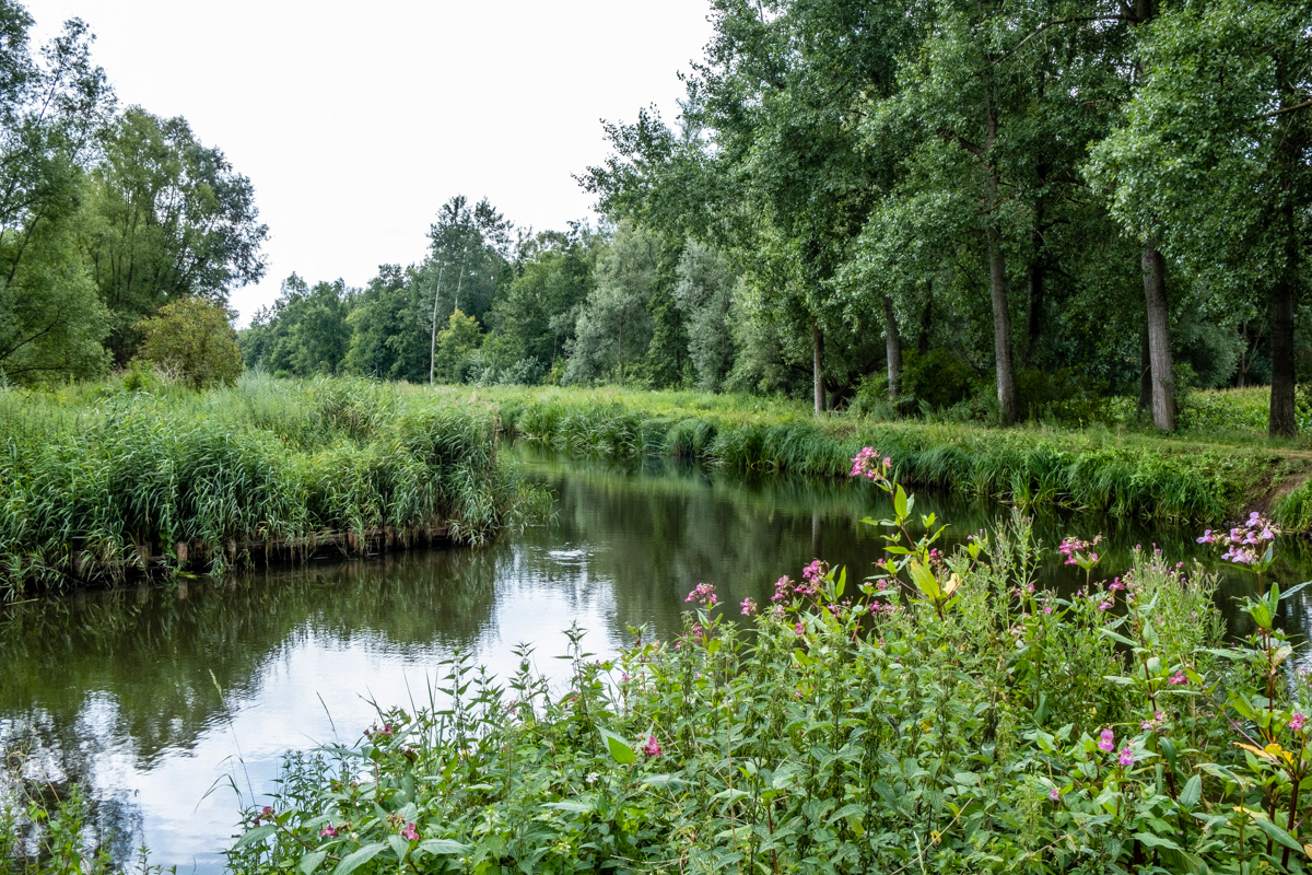 Moervaart en Stekense Vaart
