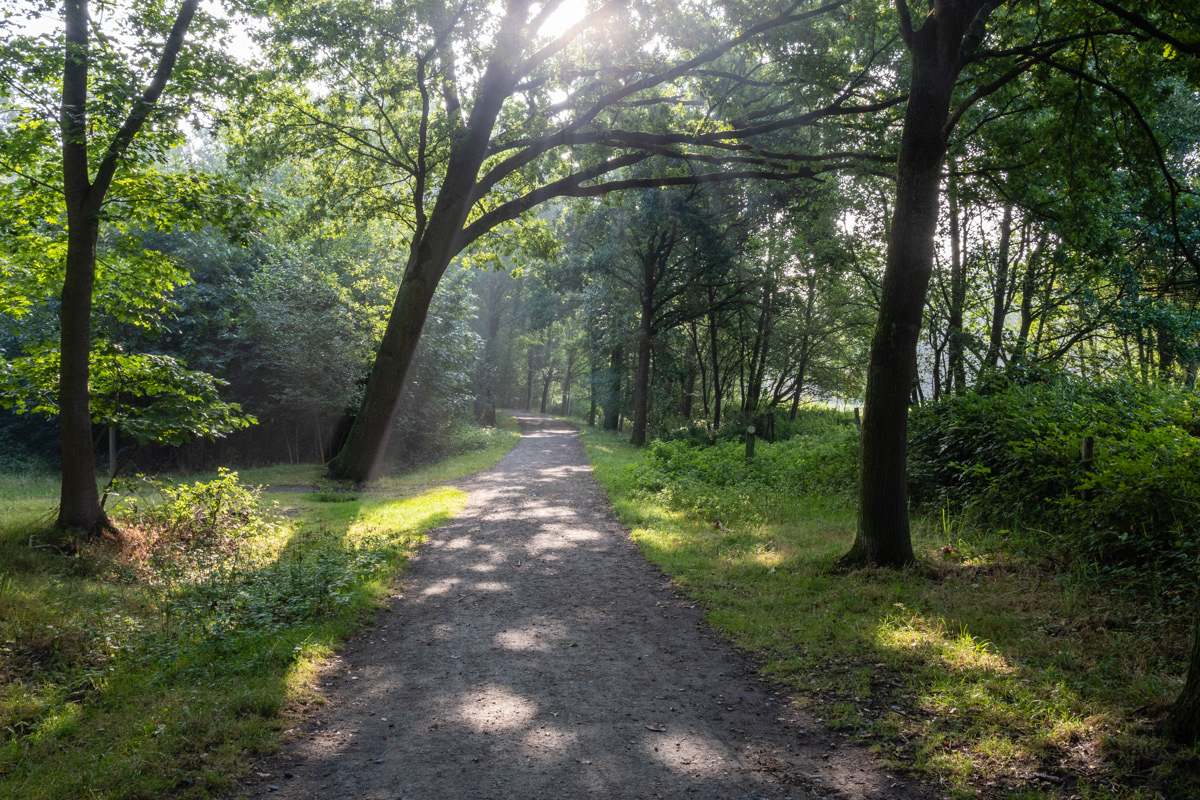 Stropersbos - Stekene