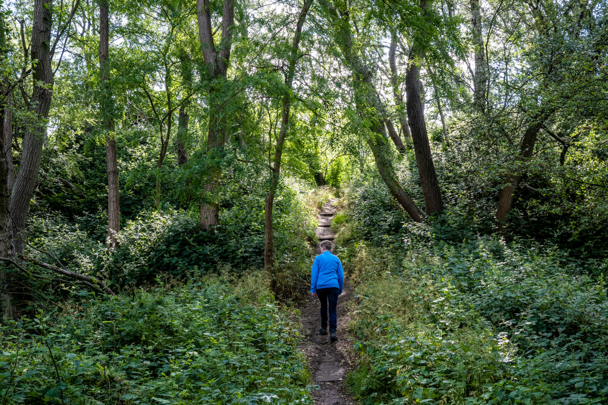 Gelaagpark - Steendorp